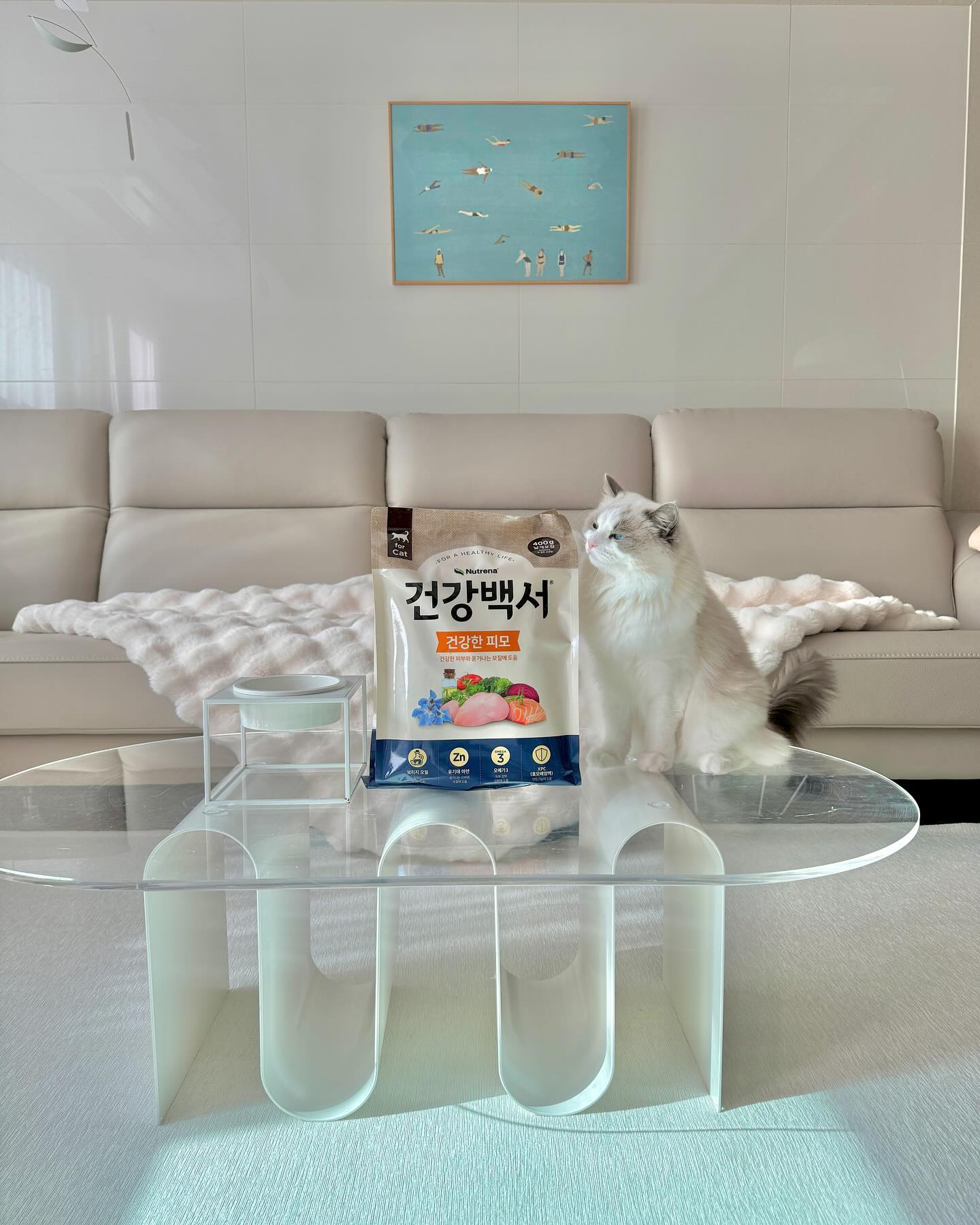 #협찬 건강백서캣 건강한피모🐱

장모종인 울 밍꼬는 털 빨이 생명인데요
윤기나고 부드러운 털관리 사료도 신경쓰고 있어요 :)
펫부문 1위 건강백서 피모사료를 섞어서 먹이니 
헤어볼 토하는 횟수도 줄어서 넘 만족하며 급여중이랍니다

비뇨기건강에 도움을 주는 뇨PH 조절 포뮬러
냥이들에게 너무 중요한 헤어볼케어
보리지 오일, 유기태 아연, 오메가3로 건강한 피모유지

400g씩 4팩 낱개포장되어 있어서 항상 신선하게
보관하기 너무 좋아요 울 밍꼬 오독 오독 씹어 먹는거 보니
이번 사료도 대 성 공 /ᐠ. ｡.ᐟ\ᵐᵉᵒʷˎˊ˗

150여년의 동물영양 전문가인 카길이 만들어
더욱 믿고 먹일 수 있으니 구경가보세요 :) 

🏷️ healthpedia_official 

#반려묘사료#고양이사료#고양이사료추천#건강백서캣#반려묘피모사료#건강백서#사료#피모#아메리칸컬#고양이