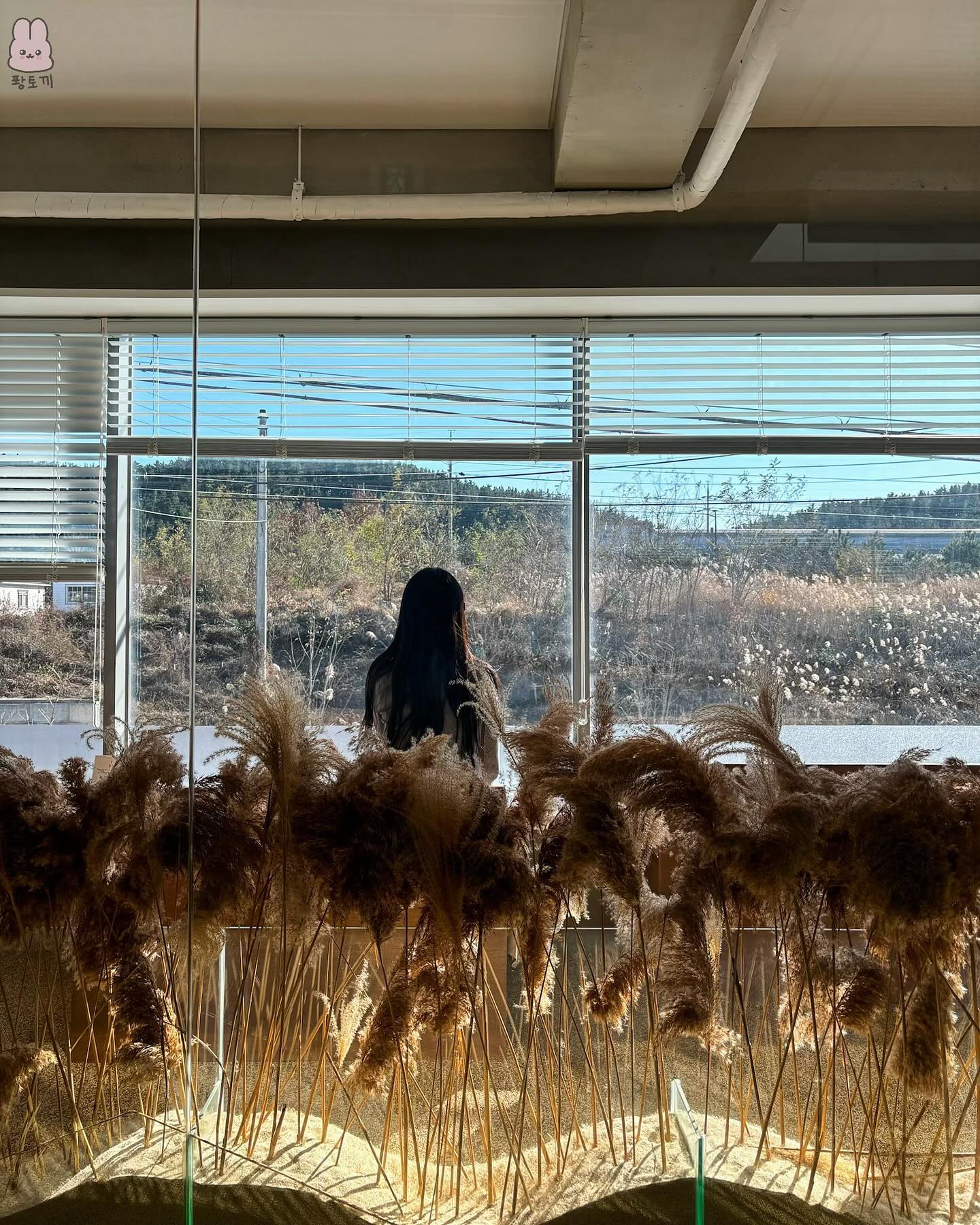 주말 잘보내셨나요?!
저는 분위기 좋은 양덕 카페 아딥크에 다녀왔어용❤️ 
곳곳에 트리장식도 있어서 클쓰마쑤 분위기도 나고 
갈대 장식이 있어서 가을느낌도 나더라구요❤️🎄
커피도맛있고 다음엔 디저트 먹으러 가보려구요😊😊

📌경북 포항시 북구 양덕남로 131
⏰월화 정기휴무 
수-일12:00-19:00
✔️길가주차, 아기의자있음