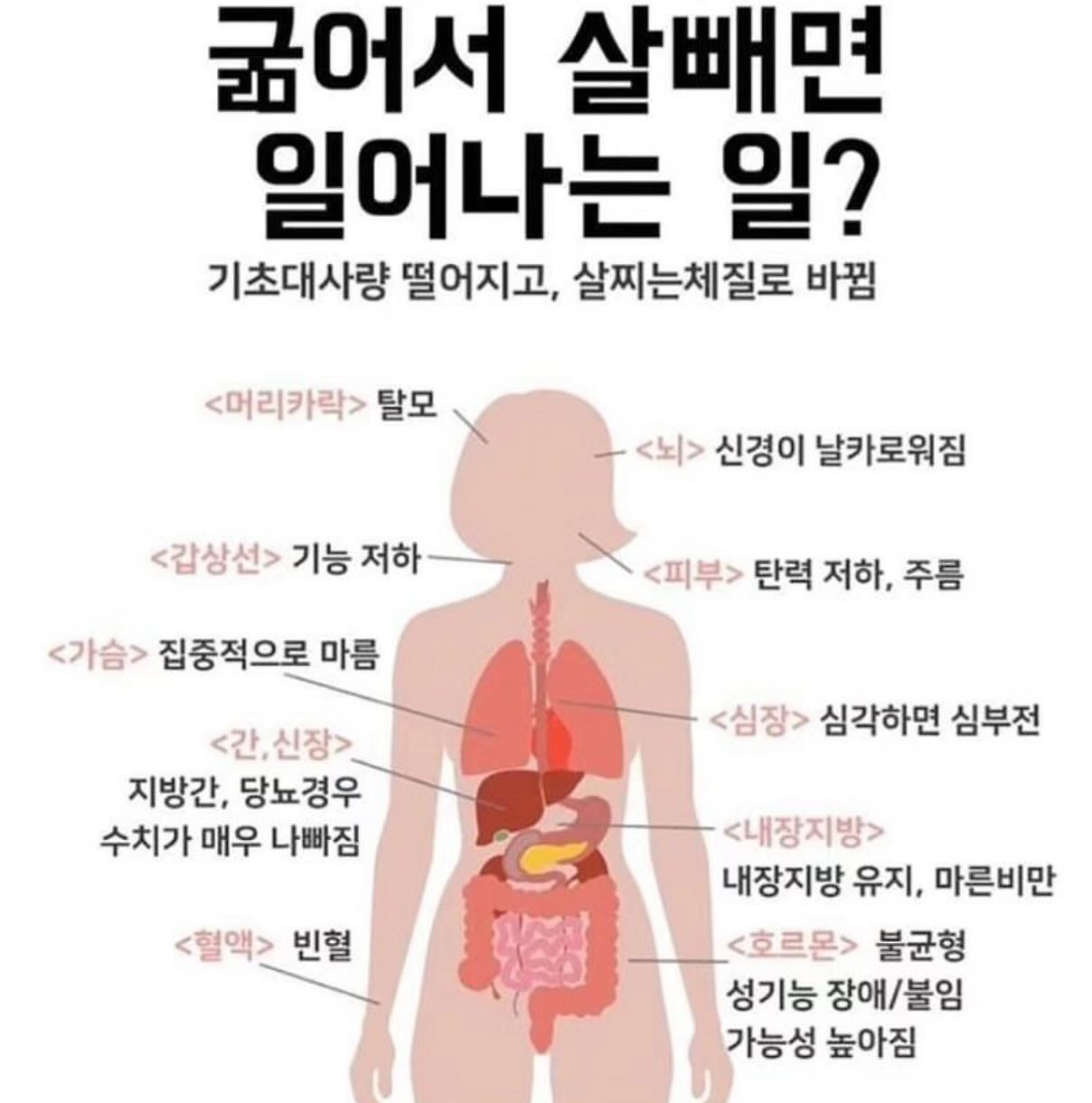 굶는건 도저히 못하는 사람!😊

굶으면 이렇게나 안좋은거 아시죠? 
다이어트 할때 무작적 굶으시려는 분

미영코치와 함께 
영양은 듬뿍 ! 칼로리는 낮게 ! 

건강한데 맛있는 허벌라이프 먹으면서 
함께 다이어트해요✌🏻

 
새해 목표 1순위는 ’다이어트&건강‘

두마리 토끼 다잡을수 있는 방법!
저랑 같이 2024 다 잡자구요! 어흥 ! 

-

🎀평생 다이어트메이트 미영코치🎀

#미영코치 #허벌라이프 #고고