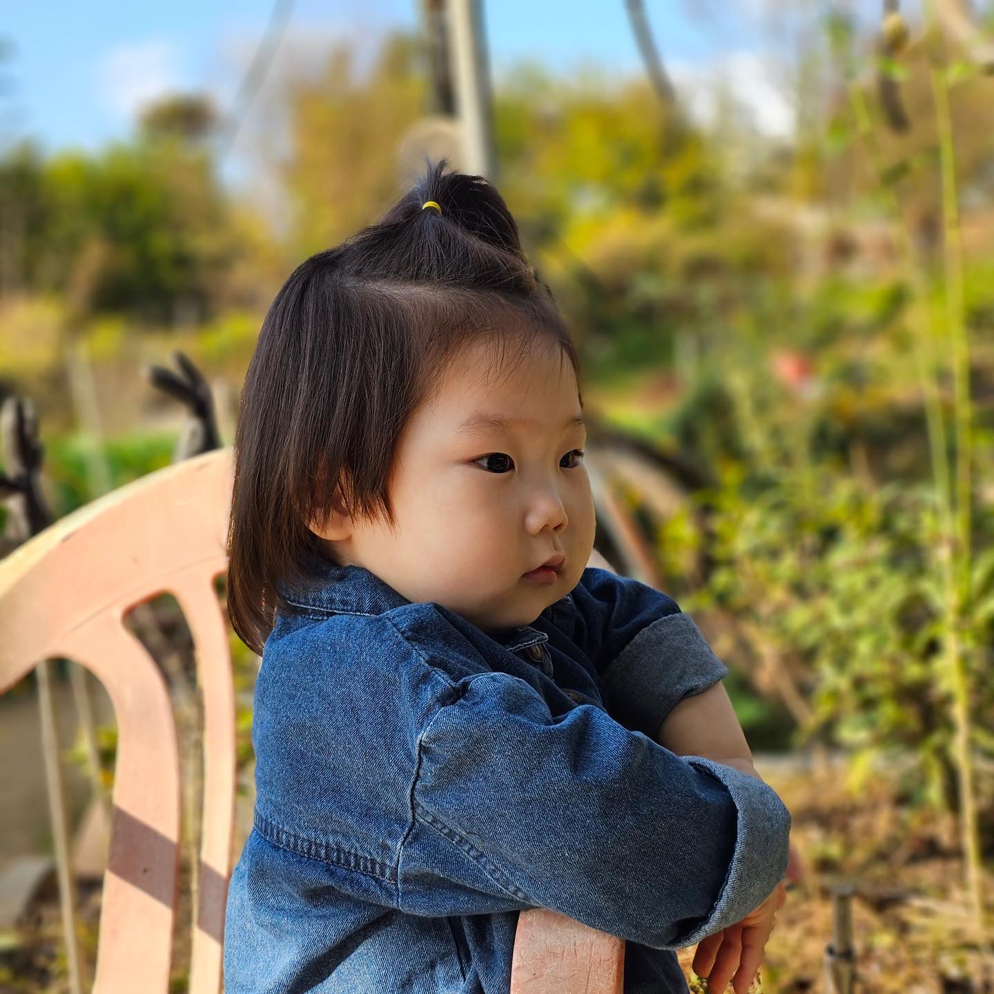 콘텐츠
