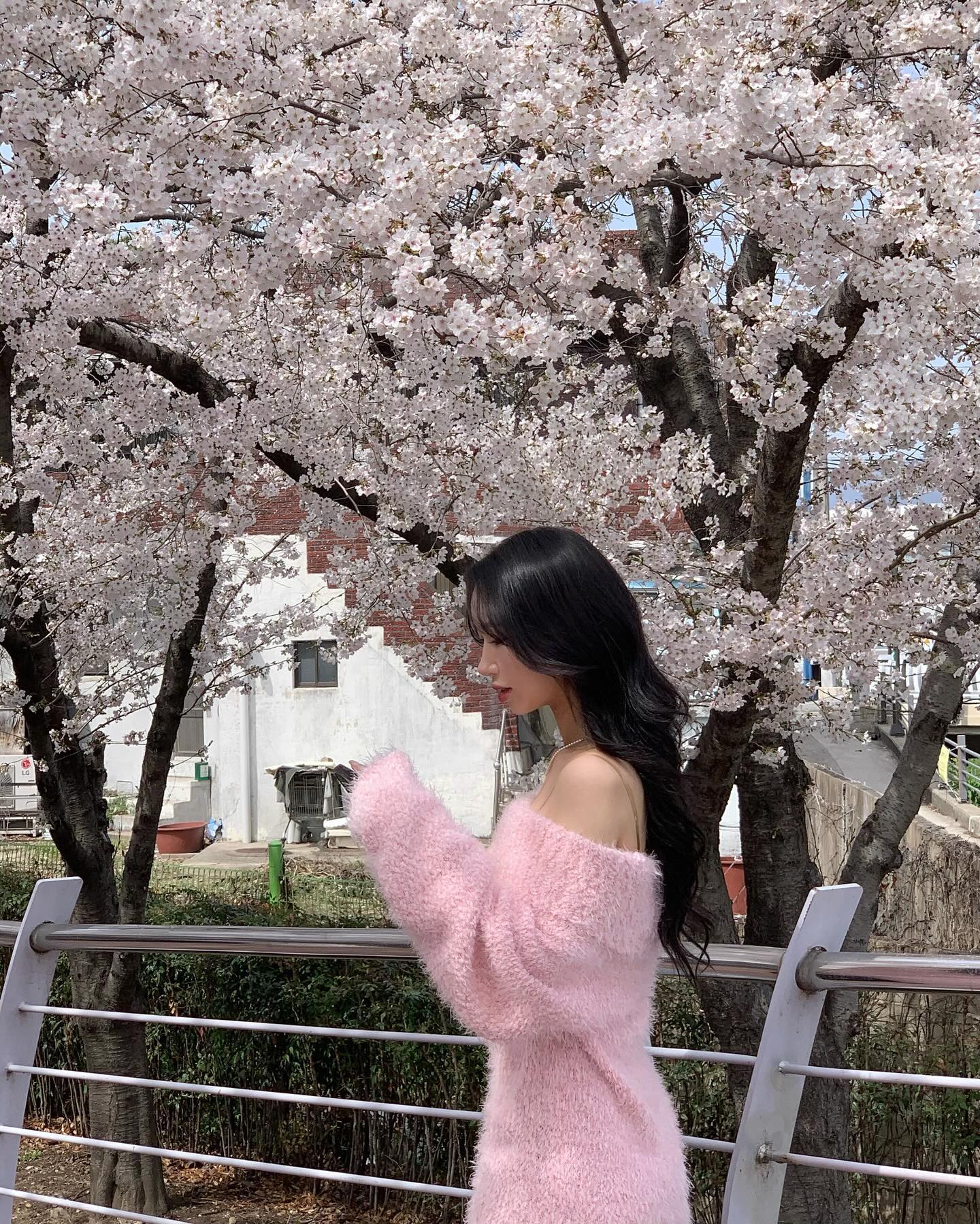 벚꽃인가 뭔가.. 구경 좀 해따 ^
