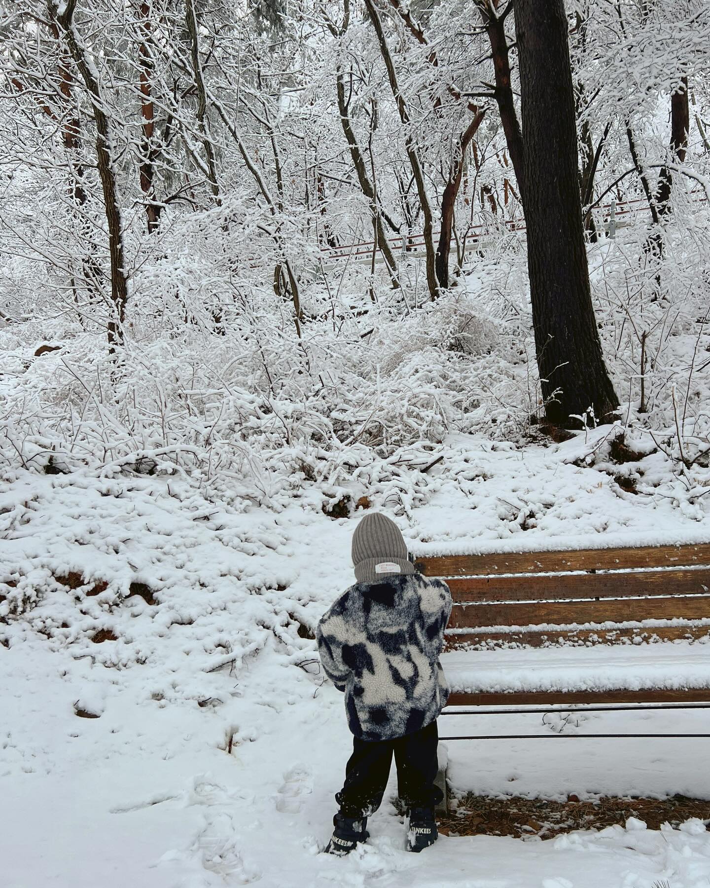 겨울왕국 .. ❄️