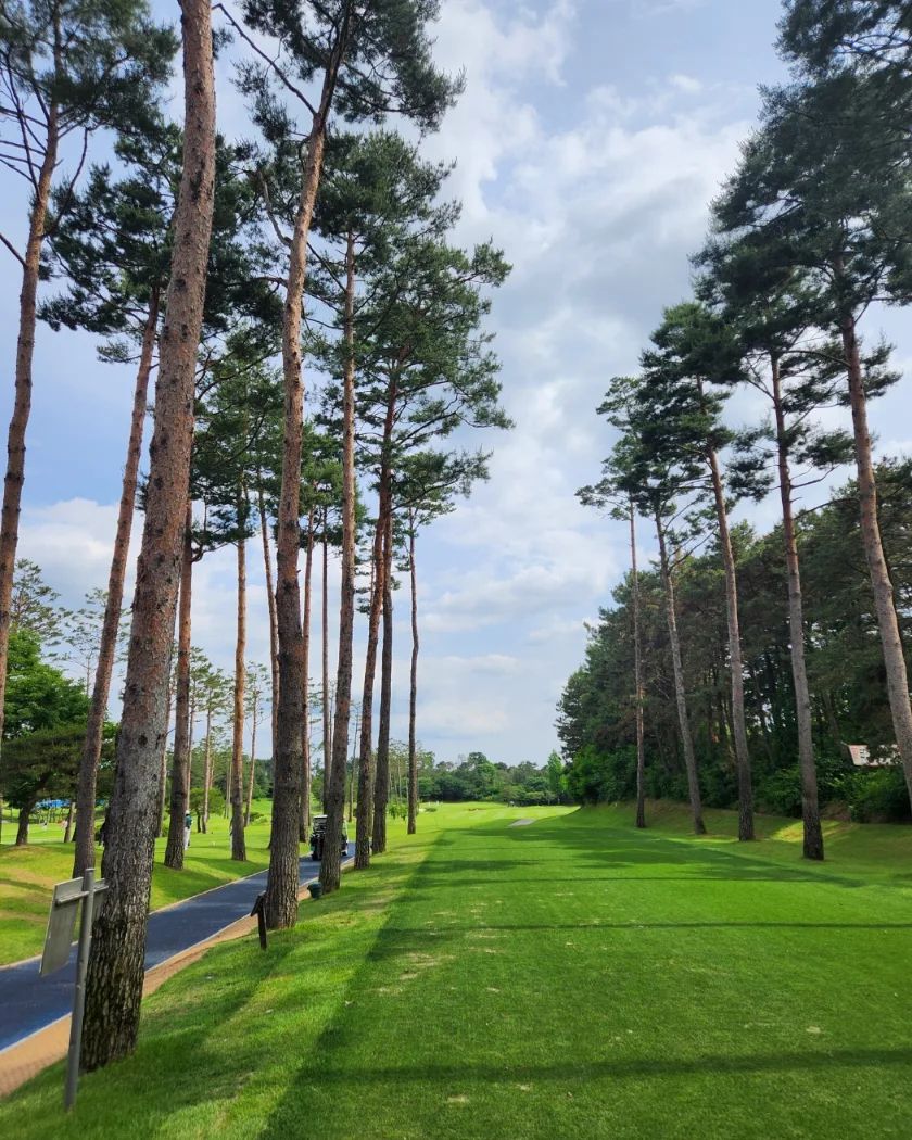 ⛳️ 언제나 즐거워~~
