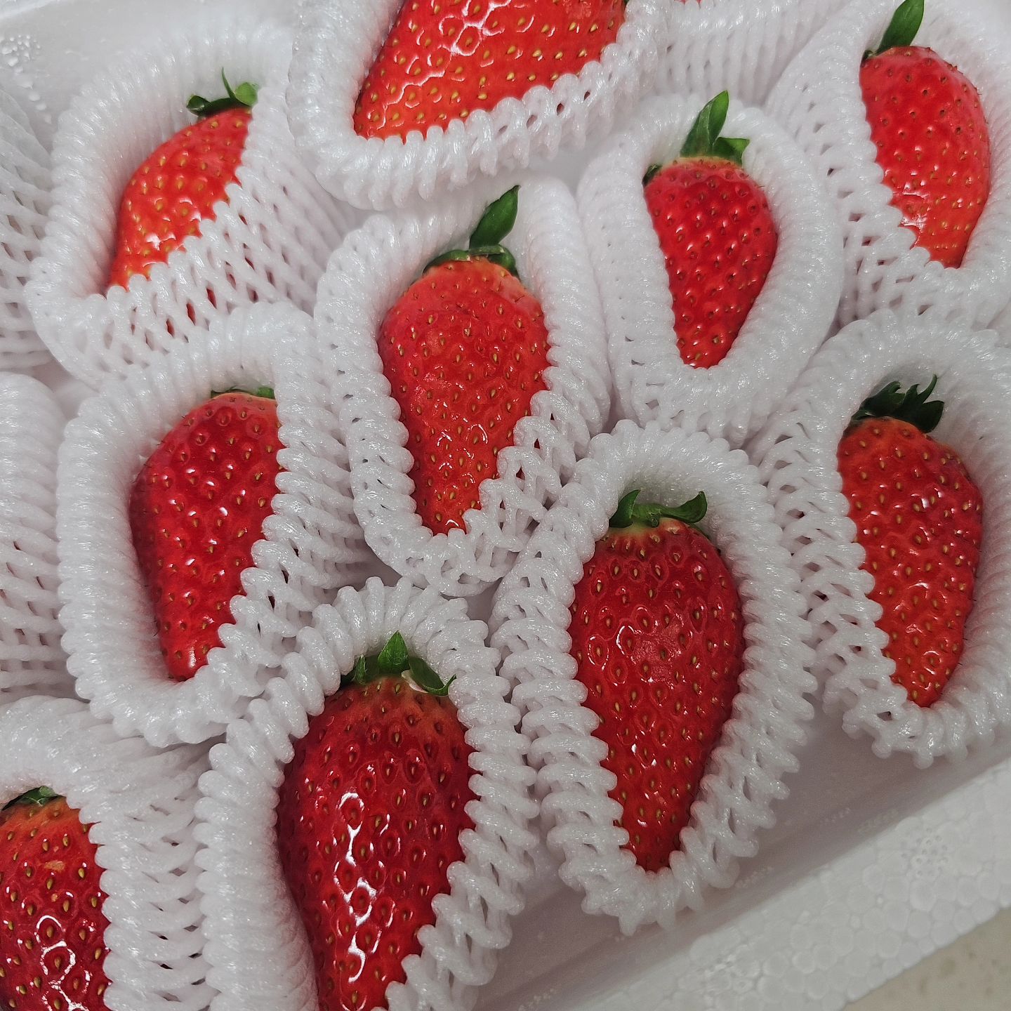 #딸기🍓 

너무 맛있엉♡