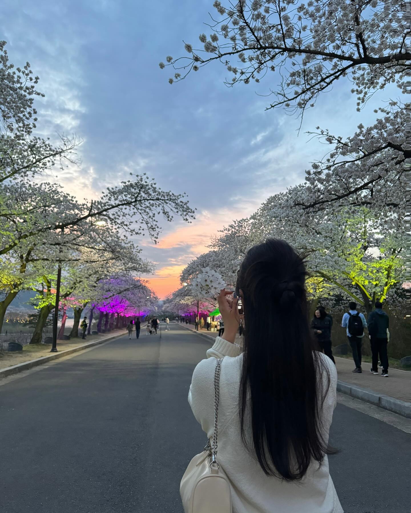 🌸벚꽃 나들이🌸 15장도 부족햐 .. 🫧🤍