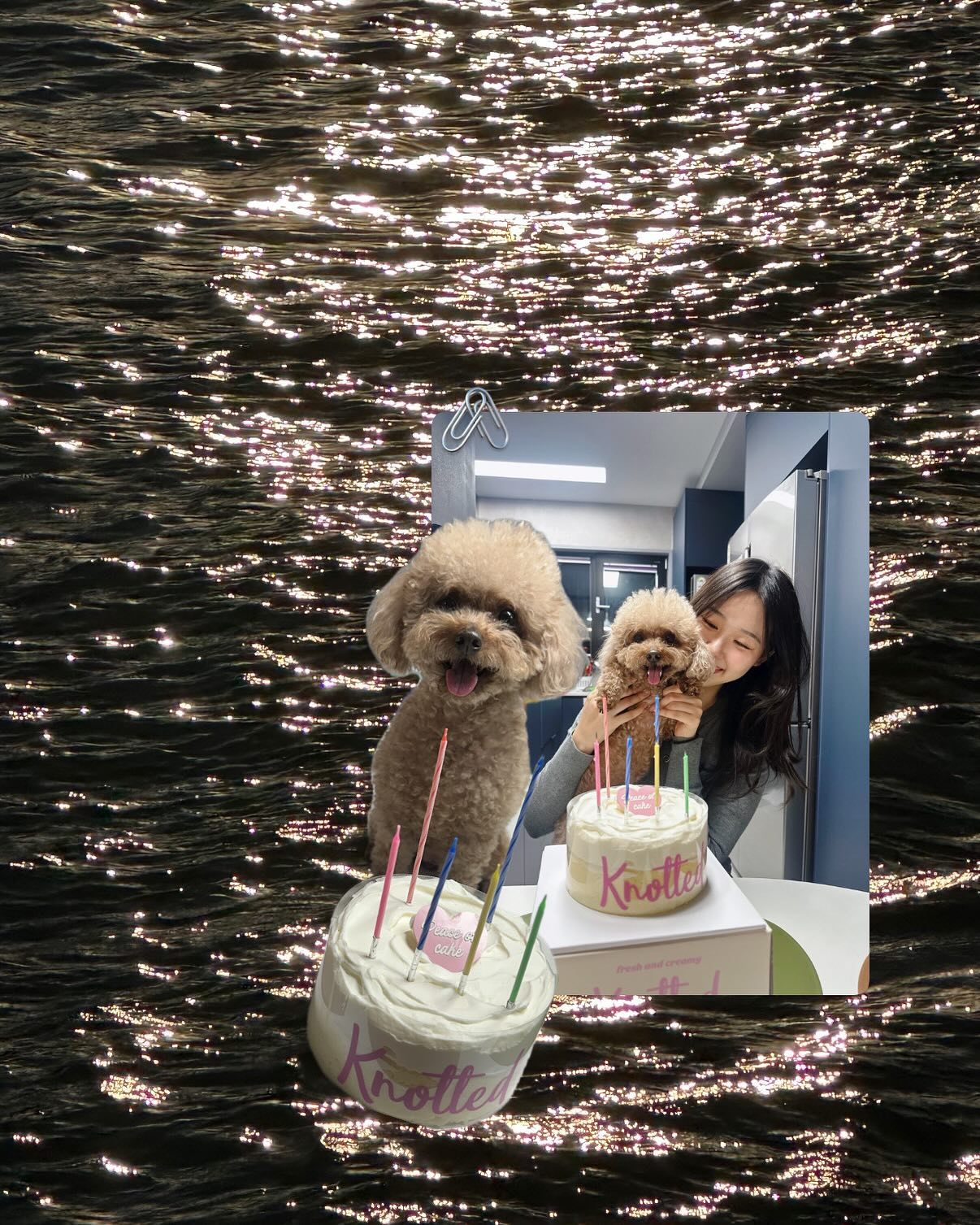 매일 생일이었으면 좋겠다!! ♥

#birthday