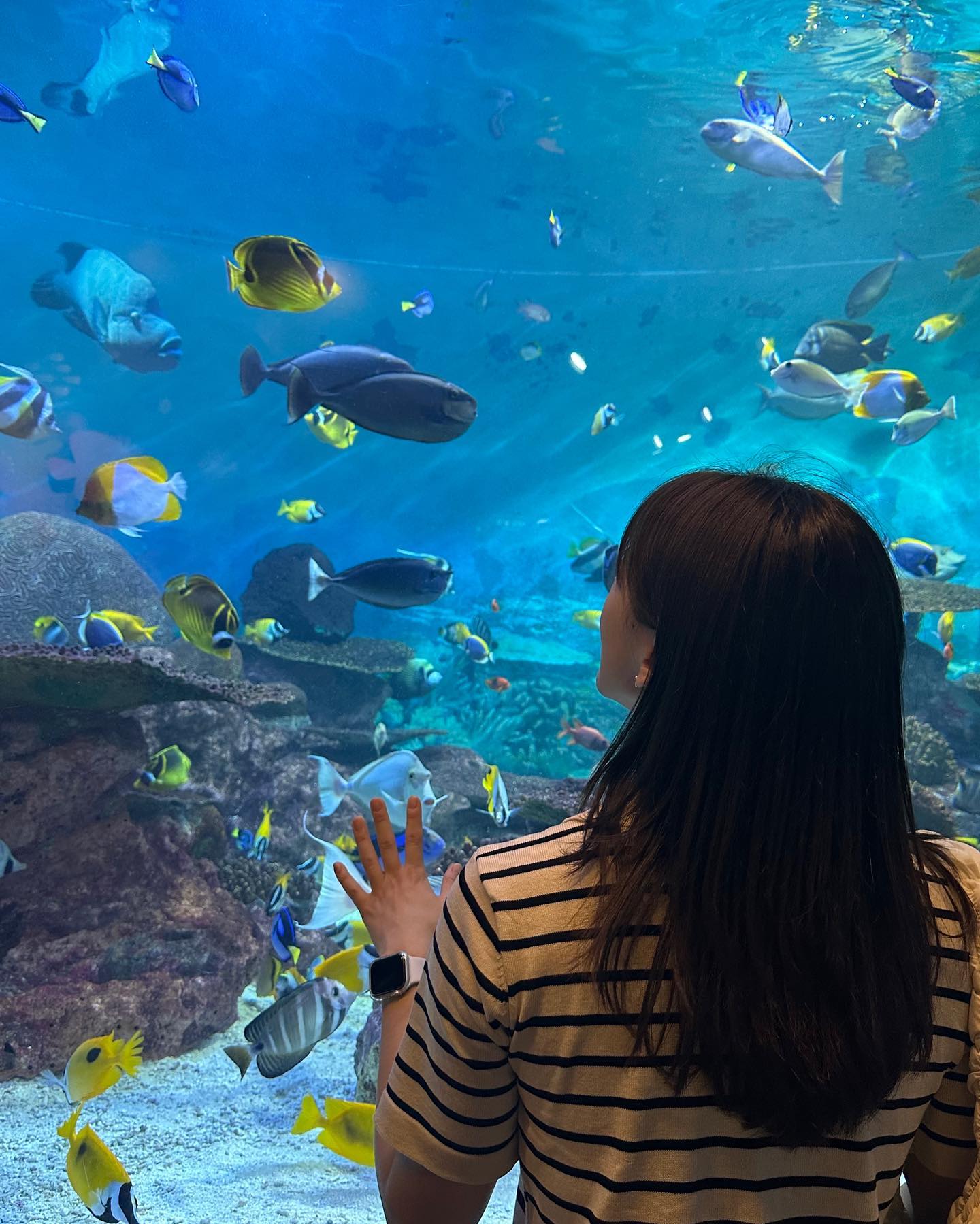 #첫줄_ #아쿠아리움
.
.
.
애니메이션안으로 들어간것만 갔았던 , 🐟 🐠 🐡