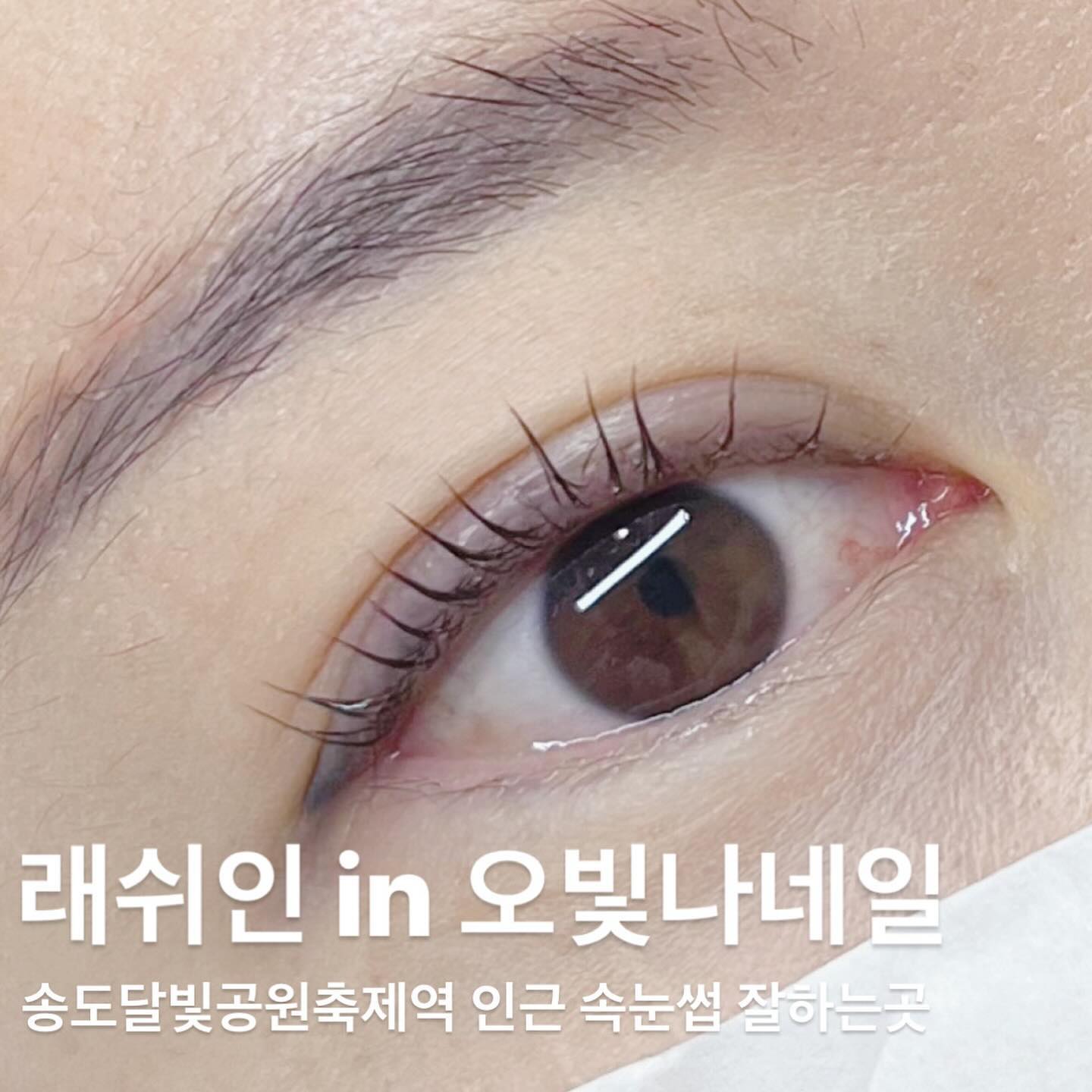 #협찬 📍인천 송도 - “오빛나네일 래쉬인”
송도 속눈썹 잘하는곳 “래쉬인”에 다녀왔습니당!!!🤩

“래쉬인”은 송도달빛축제공원역 인근에 위치한 송도 프리미엄 속눈썹 전문샵이에요😍

오빛나 네일샵 안에 있는 샵인샵이라 한 샵에서 네일, 속눈썹을 같이 할 수 있어서 넘 편하겠더라구요😊

저는 이번에 속눈썹펌 중 신데렐라펌에 블랙코팅까지 함께 했는데 너무 꼼꼼하고 세심하게 해주셔서 완전 단골각 되버려쑵니당☺️

원장님이 넘나 친절하시게 제 속눈썹에 맞춘 컬도 자세히 안내해주시고 관리법도 상세하게 설명해주셔서 완전 감동이었어요🥹

시술 내내 넘 편하게 해주셔서 내집인줄 잠들뻔한건 안비밀😣

완성된 속눈썹 보니 영양케어 듬쀽 들어가서 탱글해진 느낌에 블랙코팅까지해서 마스카라가 필요없겠는거있쥬?😎

인님들도 송도 속눈썹 연장, 펌 잘하는곳 찾고계신다면 “래쉬인” 완전 강추드려요😁👍🏻

📌예약페이지: https://b.bookitnow.site/lashiin
📌인스타 공식계정: https://www.instagram.com/lash_iin/
📌위치: 인천 연수구 아트센터대로168번길 101 (송도동, 송도랜드마크푸르지오시티) A동 3층 317호

#리뷰노트#송도속눈썹#송도속눈썹연장#송도속눈썹펌#송도속눈썹잘하는곳#연수구속눈썹#연수구속눈썹펌#연수구속눈썹연장#래쉬인#오빛나네일#송도뷰티샵