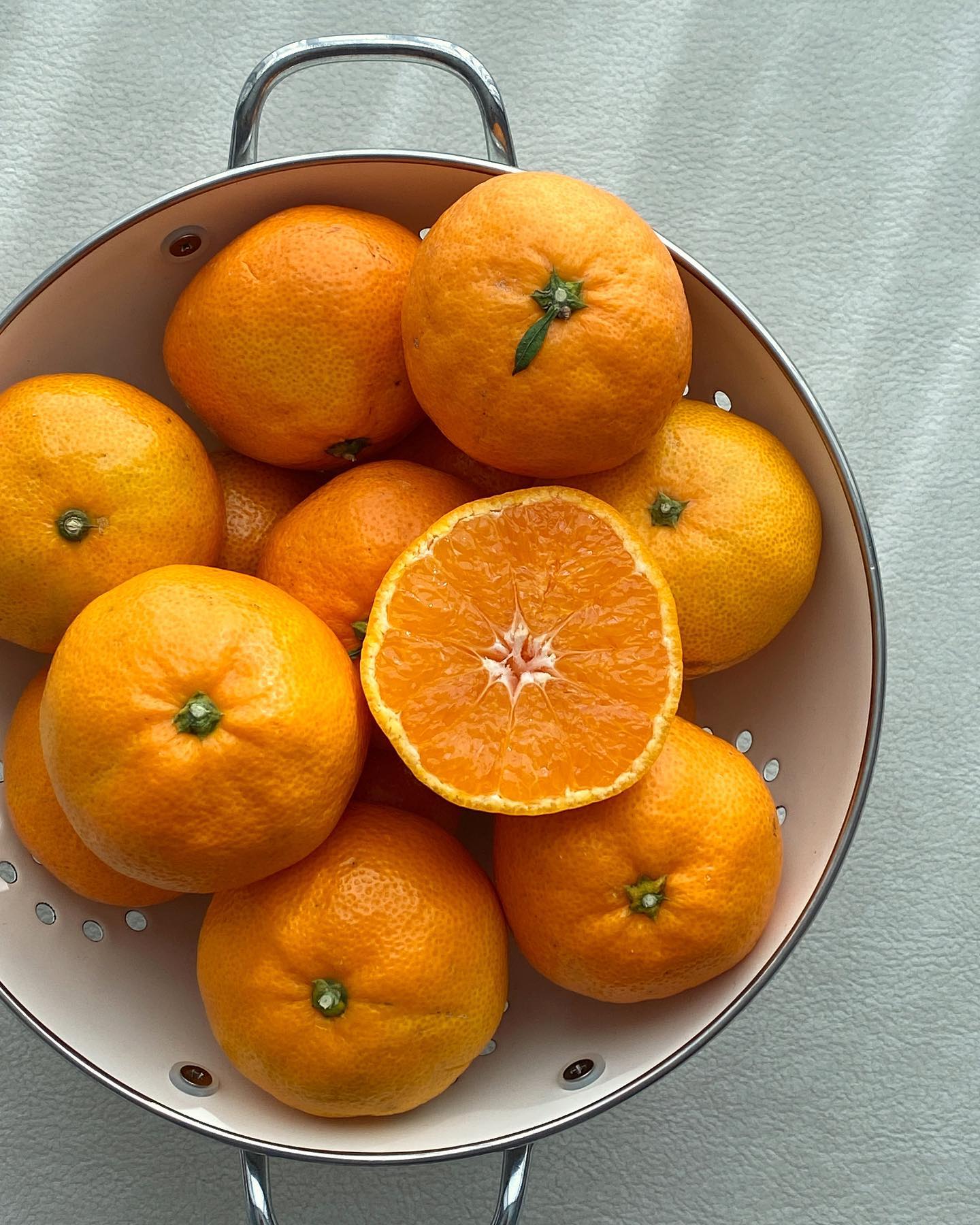 애월 제주 감귤 OPEN🍊
제주가 외갓집인 저는 겨울만 되면 귤 부자가 되곤 했지요😅
올겨울도 귤 부자 시작!

귤도 맛있는 귤 밭이 있다는 거 아시나요?
귤 밭마다 맛이 다르더라고요?
지금 이 귤이 제일 맛있는 밭 귤이랍니다!
그래서 이모네 밭 귤을 저희만 먹기 아쉬워
같이 나눠 먹고 싶어 오픈했어요🍊
귤 맛 보장!

링크는 상단 프로필에 있어요😊
애월 밭에서 따자마자 바로 보내주는 귤
한번 구경하러 오세요🧡