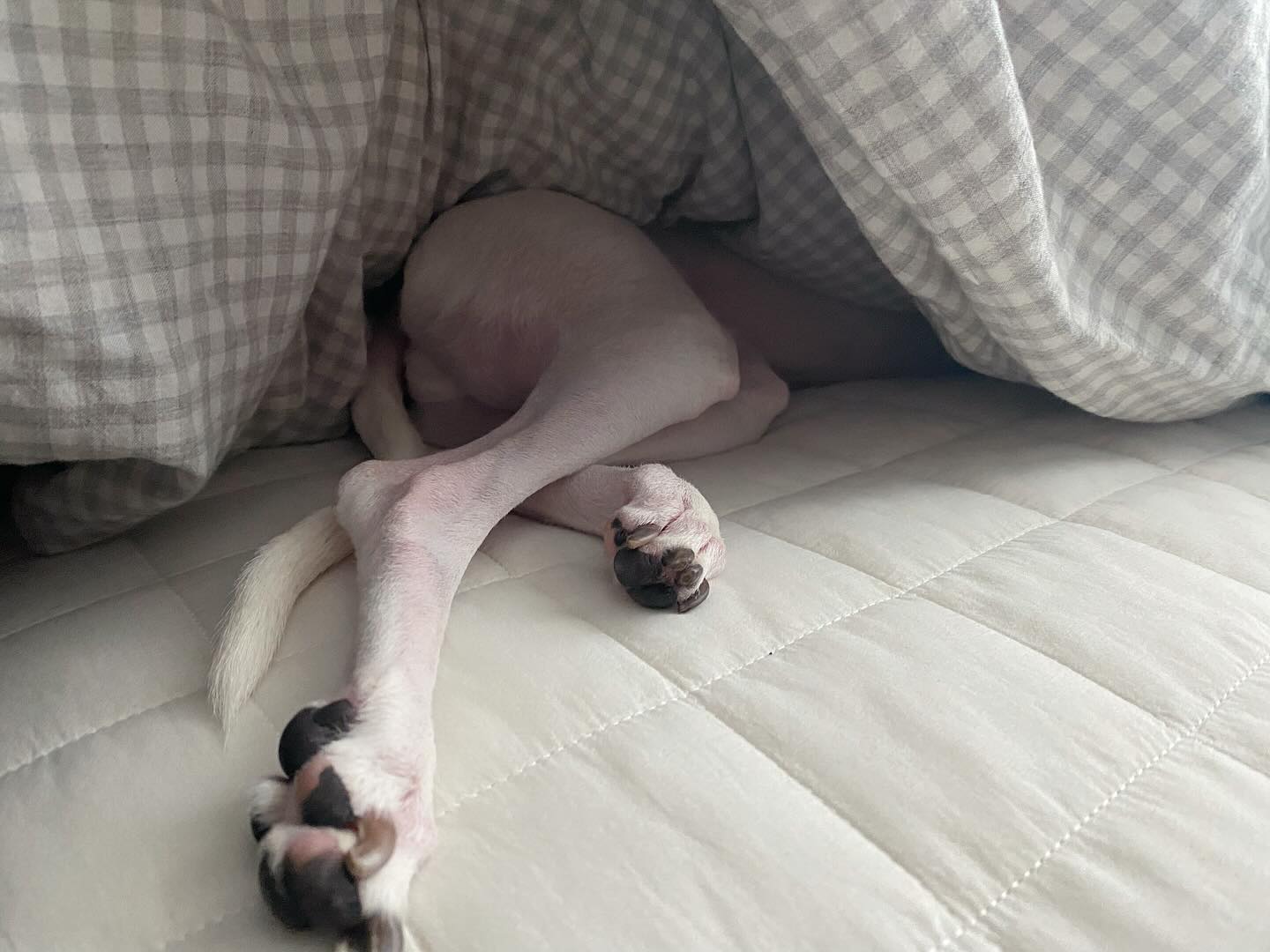 ❤️❤️❤️❤️❤️