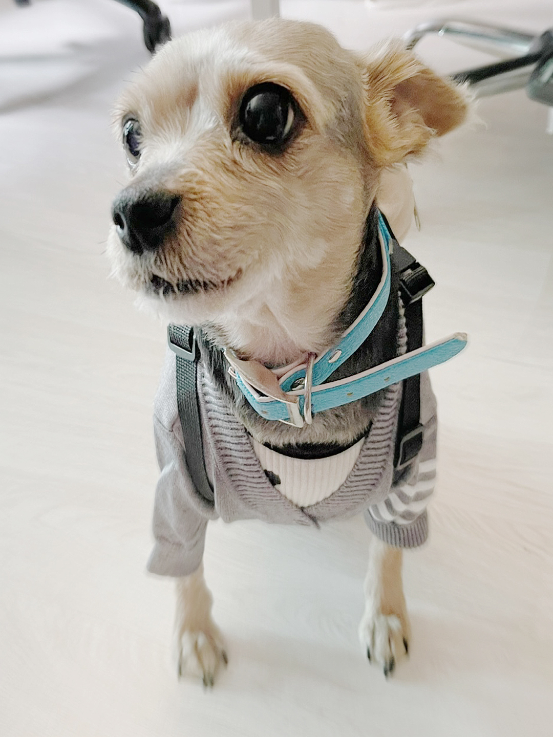 콘텐츠