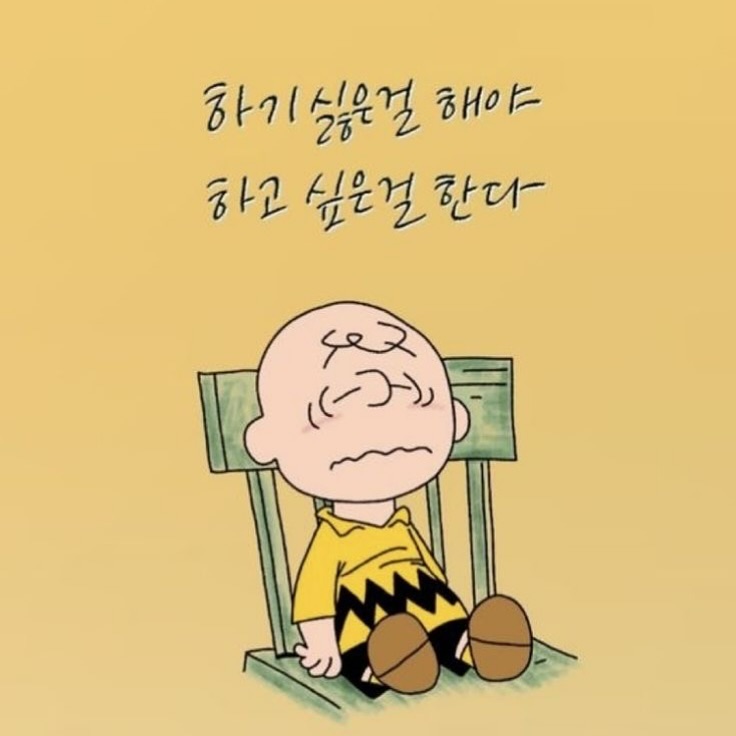 오늘의 #띵언
내일부터 진짜 새벽기상 해야지💪🏻✨

#새벽기상 #미라클모닝챌린지