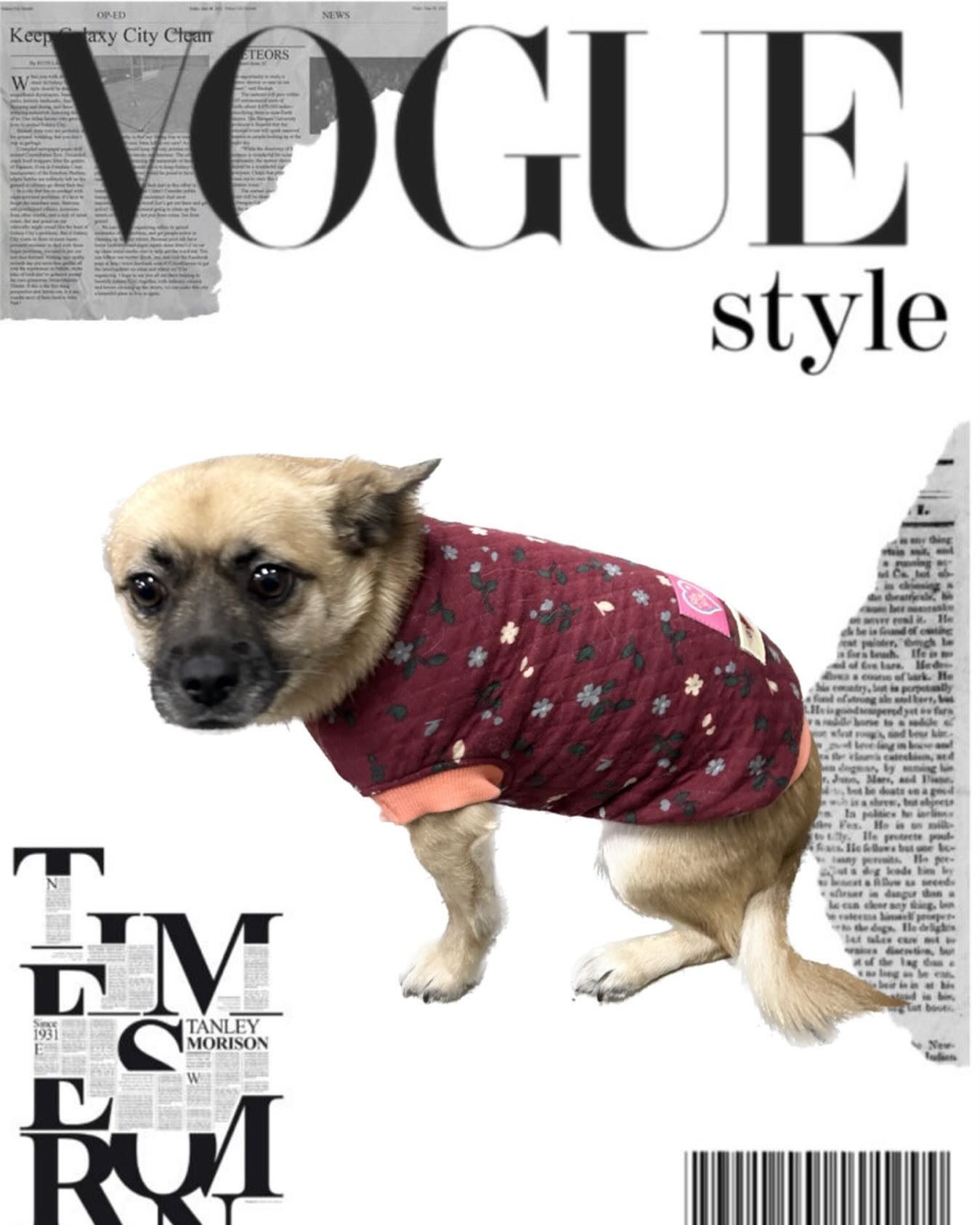[속보] 녹두 VOGUE 2023 f/w limited edition 표지에 한국할머니룩 신상 선보여...

#월드스타김녹두의룩북 #WorldstarNocdooKimfashionmegazine #vogue #voguekoreamodel #voguekorea #koreangrandmothersbelike
