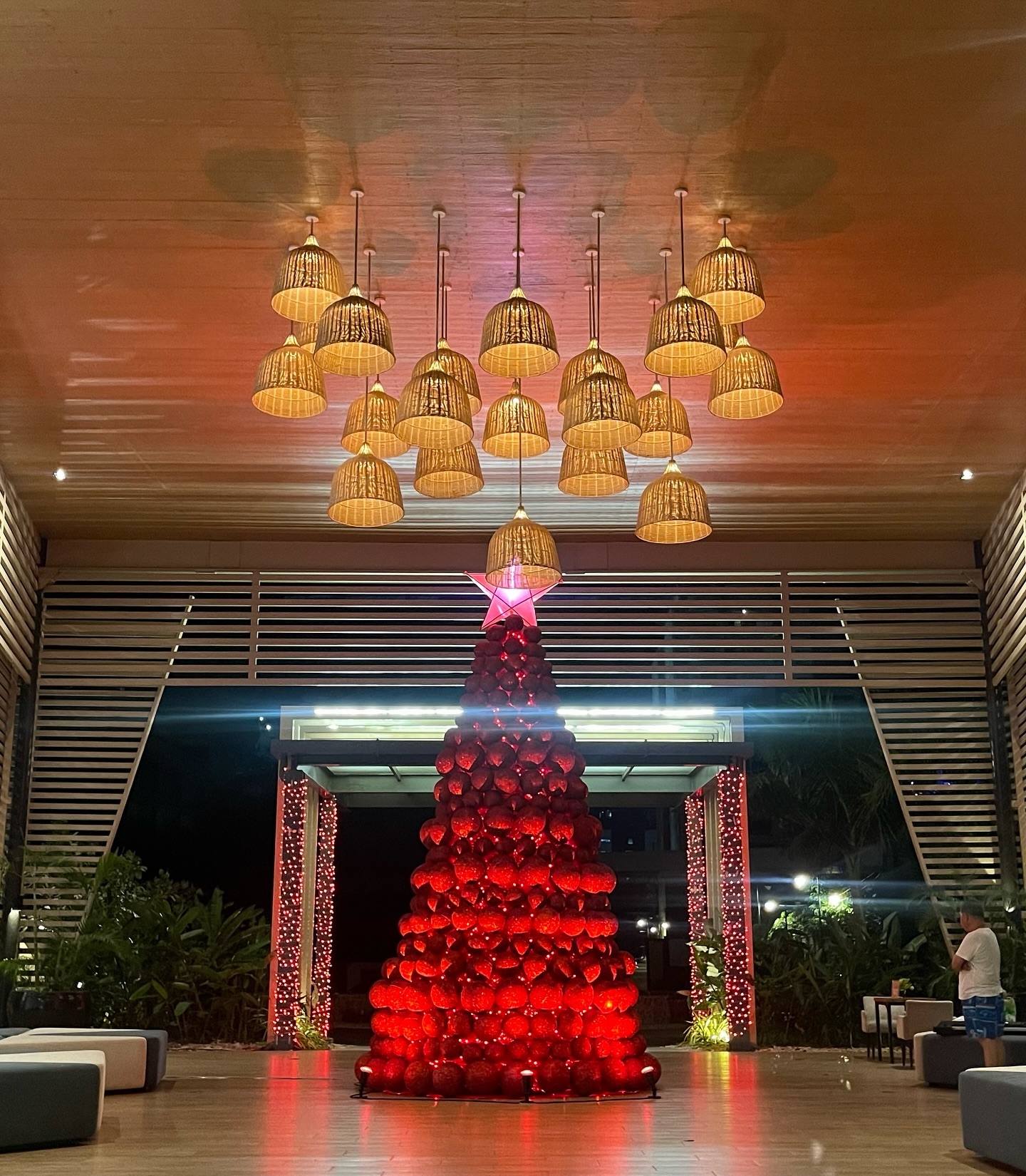 Summer Christmas in Cebu🎄

#cebu #christmastree