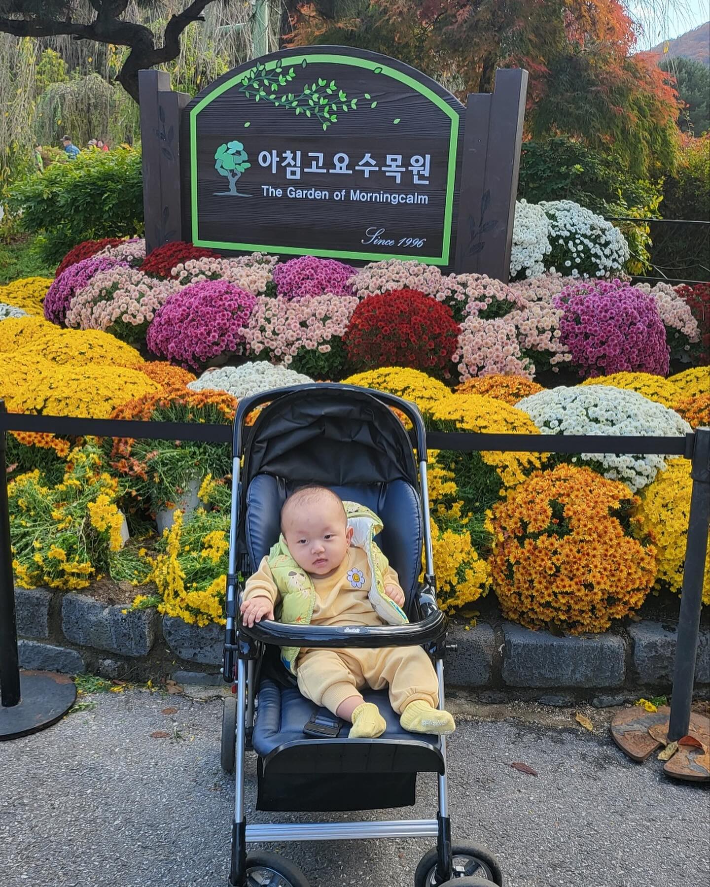 #첫줄

이하니 하삐함미 따라 수목원🌻🌻

꽃옆에 달이떳넹🌝

.
.
.
.
.
.
#아둘맘 #아들맘 #아동복공구 #아동복신상 #아동복세일 #아동복추천 #아동복쇼핑 #유아동복 #유아동복마켓 #유아동복쇼핑몰 #가을신상 #가을옷 #아동복가을신상 #아동 #육아 #육아스타그램 #육아소통  #유아동 #어린이집룩 #아이옷 #아들맘그램 #다섯살 #육아그램 #아동패션 #토끼띠맘 #육아스타그램 #흑토끼띠 #황금돼지띠
