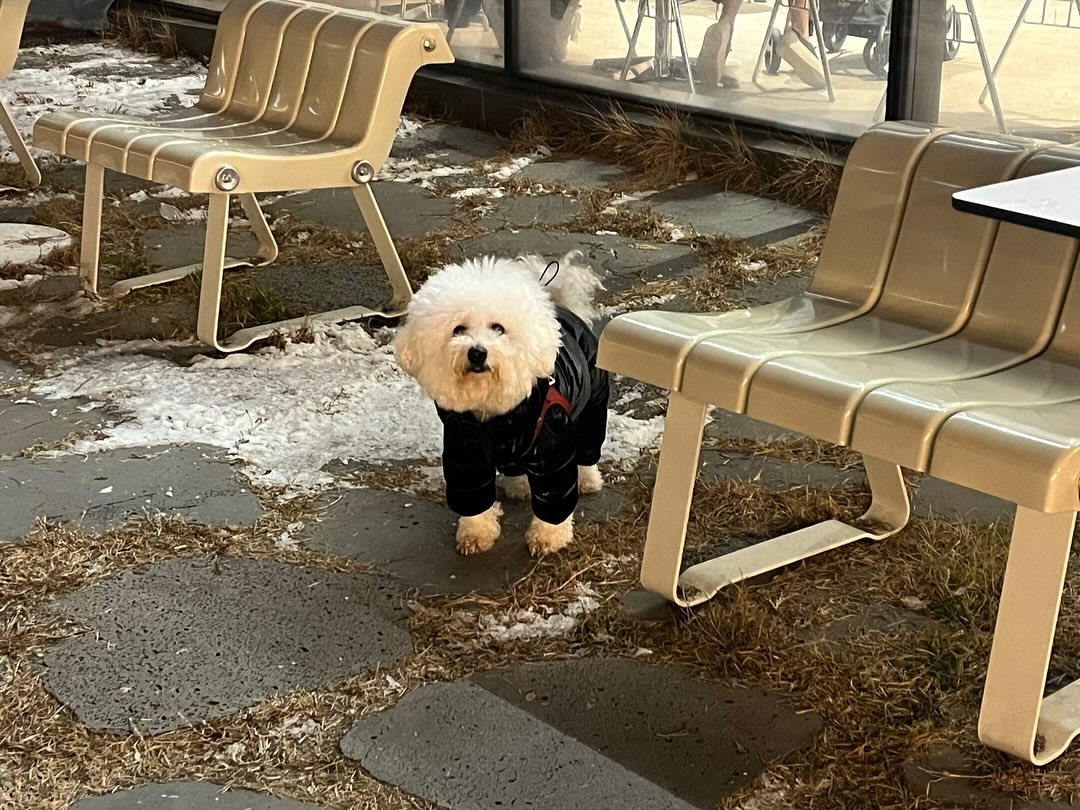 나는 5살 봉봉이, 지지 않지✌🏻