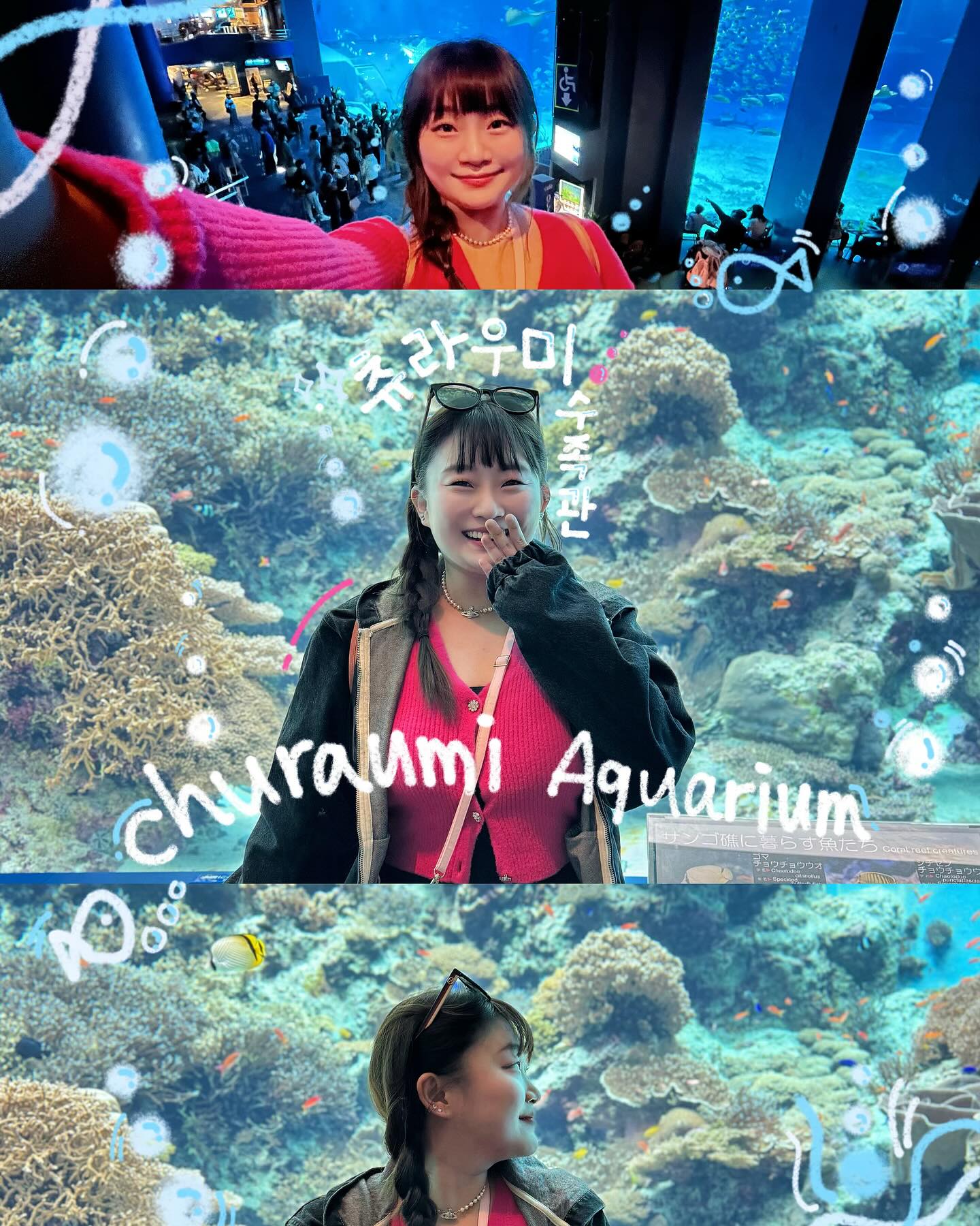 🐠츄라우미 아쿠아리움🐟 
귀여운 물고기, 멋있는 물고기, 영화에서 본 물고기, 
똑똑한 물고기, 재빠른 물고기, 느릿한 물고기
🐟🐠🐡🐠🐟🐡🐟🐠
물고기 세상에서 같이 수영하고파…🏊🏊‍♀️🏊‍♂️🤿
.
.
.
#뮤젤_오키나와 
muse.l_universal 
.
.
.
.

#일본 #아쿠아리움 #여행 #inspiremoments #digitaldiary #wannabehappy #pinterest #digitaldrawing #doodling #doodleart #postoftheday #canva #digitalart #ootd #fashion #travel #fyp #creator #크리에이터 #여행크리에이터 #churaumiaquarium