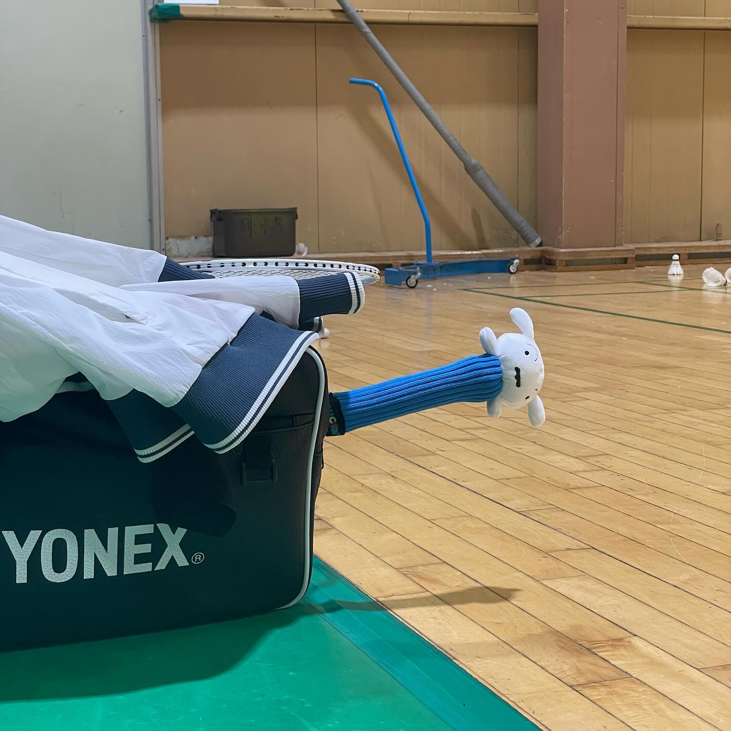 사버렸다 .. 귀여워서🏸☺️