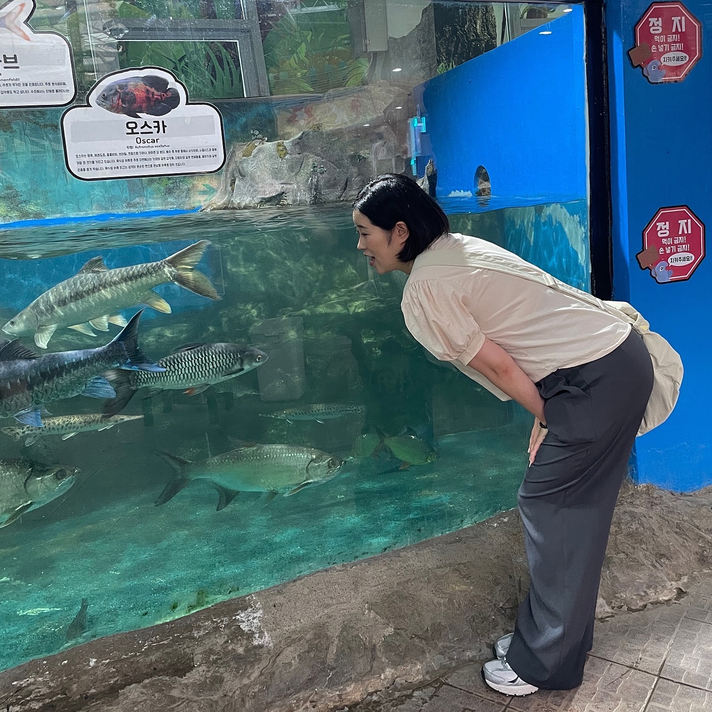경주 버드파크,
기대 안했는데 생각보다 괜춘? 나랑 오빠는 새 무서워해서 소리지르고 난맄ㅋㅋㅋㅋ하은이가 너무 좋아했으니 그거면됐다 (엄마 아빠의 삶😭)
#경주버드파크