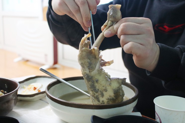 청송 강아지동반 식당 서울여관식당 맛있어요