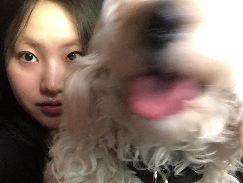 coyseio fad_seoul peterhwang19 🖤💩🐙🥰🤸🏿‍♂️