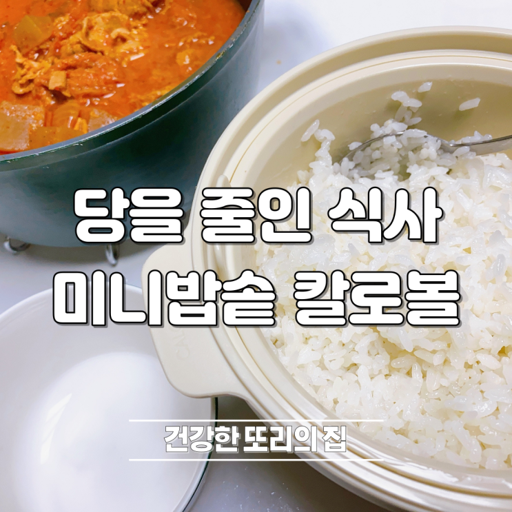 저당밥솥 칼로볼로 간단하게 식사하자 미니밥솥 추천