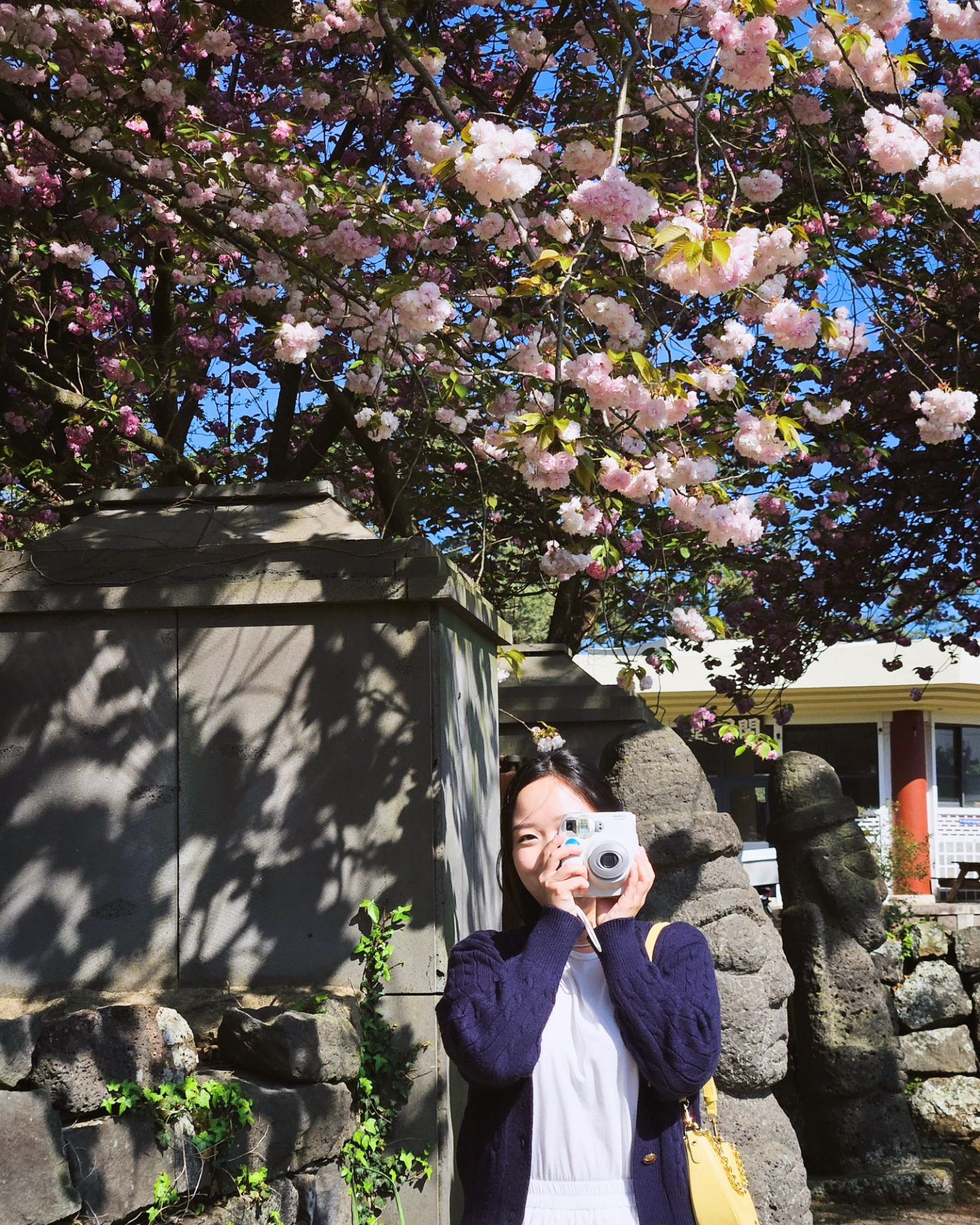 겹벚꽃시즌이랑 딱맞아서 꽃놀이 실컷..🧚‍♀️🌸