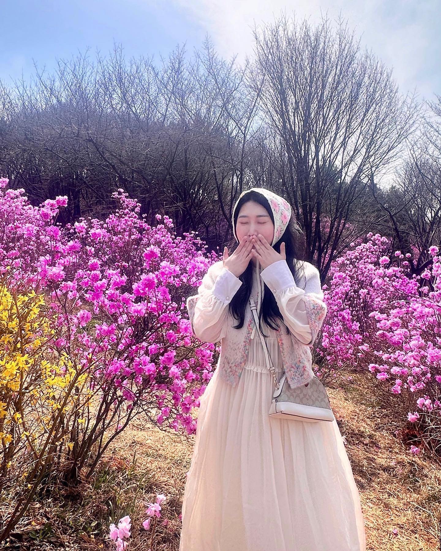🌸🌸🌸💛 
🗣️ “ 진달래 사세요 !!!!! 개나리도 있어요 “

” 제발 두건은 진달래 동산가서 써주라 “ 옹알쪄 😙💗
내 패션 존중해주라 진달래 본다고 진달래 두건 쓰고옴 

#바쁜와중에 #진달래꽃 #진달래동산 #꽃놀이🌸