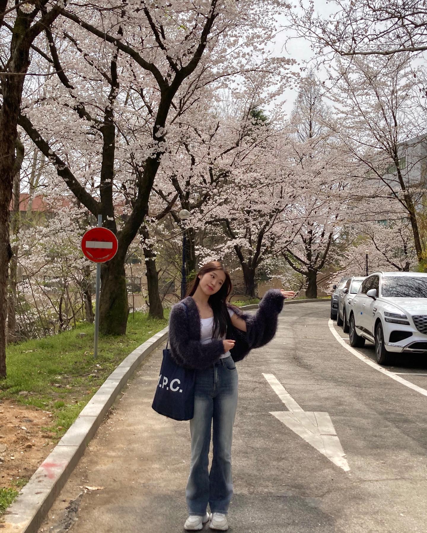 짧아서 더욱 아쉽고 찬란한 나의 봄날 기록💫🌷🍄
