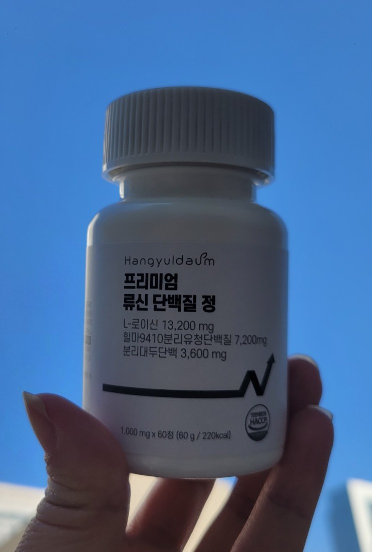 [류신단백질추천]한결다움 프리미엄 류신 단백질정(설리마켓)
