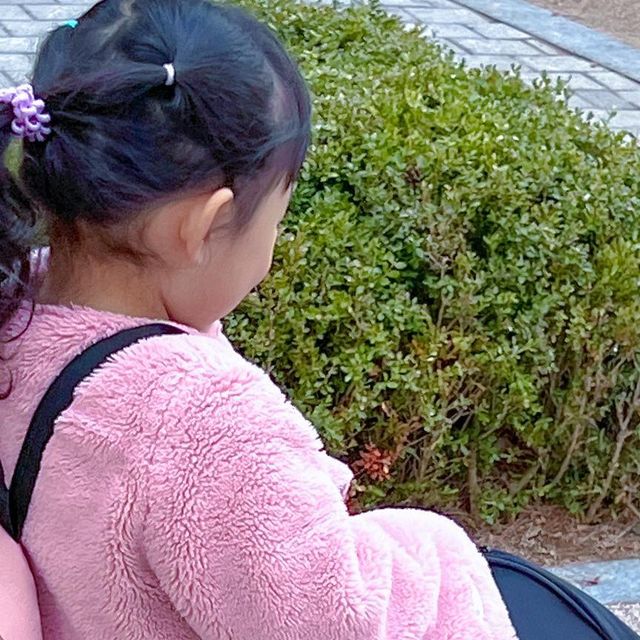  문새봄대표 (주)바디멜로디 예술교육원 대표 썸머마스터 on Instagram: "#광고 산책 냥이 보솜이에게 찰떡인
#인더코코 애완 백팩 소개해요 

🐱

수납할 공간이 많고
오픈 되는 지퍼도 많아
산책 시 아기 컨디션 체크하기 좋아요 

👁️

아기 때 산책 많이 했던 보솜이
오랜만에 세상 구경 하니 호기심 가득 눈빛
감자랑 투 샷도 너무 사랑스럽네요

인더코코 강아지 고양이 코코백 백팩
https://link.coupang.com/a/bshfaH

모두 맛저 하시고
유익하고 재미있는 릴스로 곧 만나요👋🏻

#강아지백팩#고양이백팩#강아지가방#고양이이동장#고양이가방#애견가방"