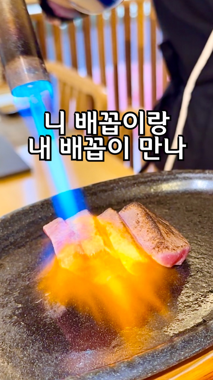 콘텐츠