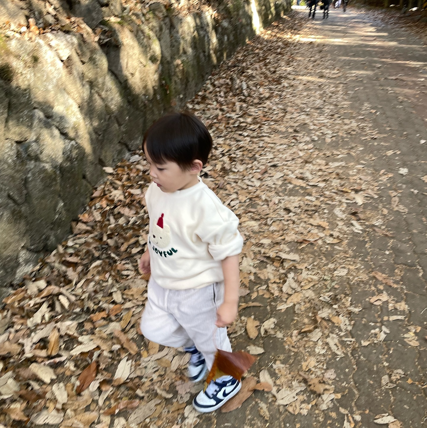 북한산🍁
아들 : 낙엽을 밟으면 무슨 소리가 나지요?
엄마 : 뱀나와

#나는t야