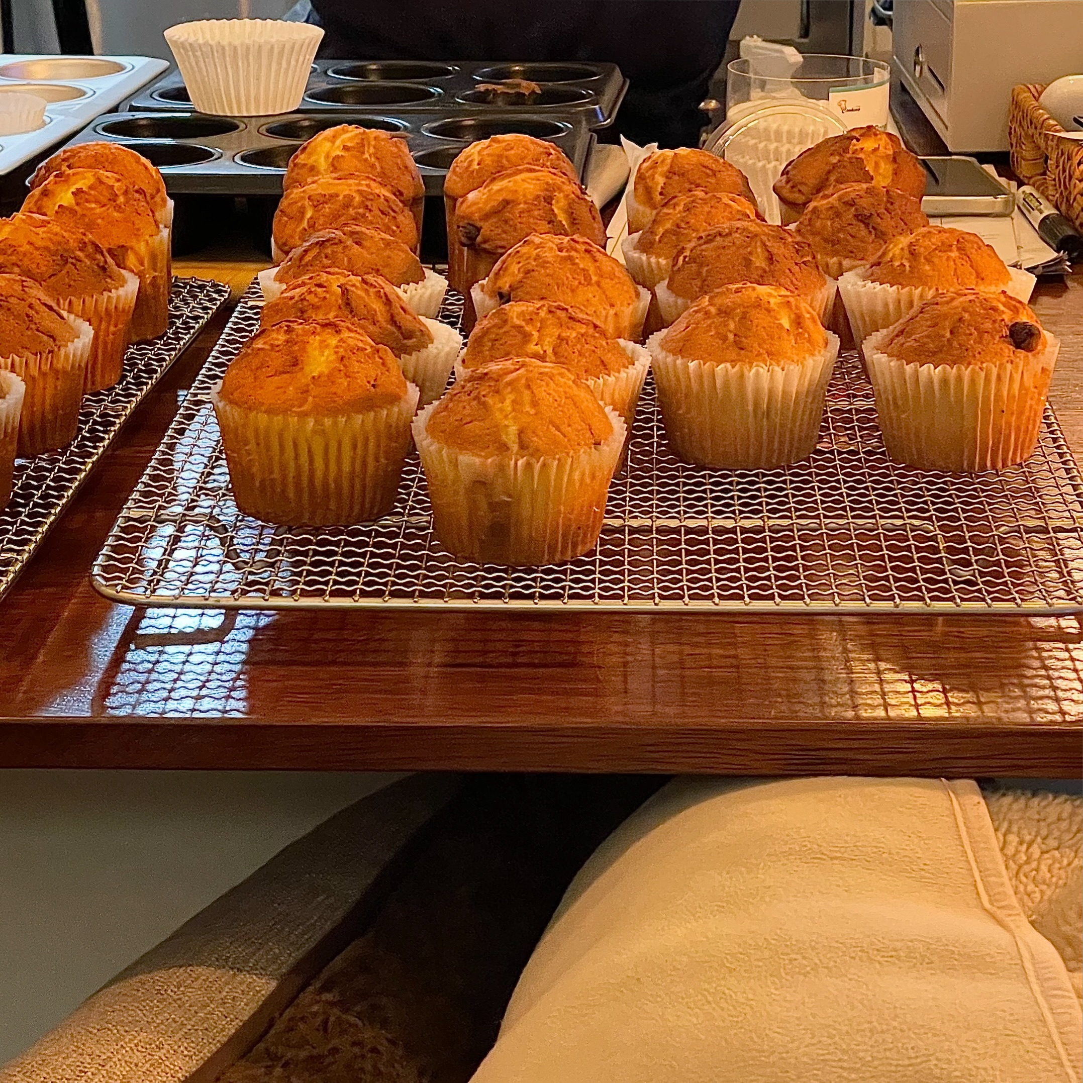 브런치 먹다가 맛있는 냄새에 이끌려 가봤더니 머핀이🧁
단체 주문 들어와서 머핀을 만들고 있다는 사장님
다음엔 브런치 말고도 빵 종류도 꼭 먹어봐야지🙂‍↕️