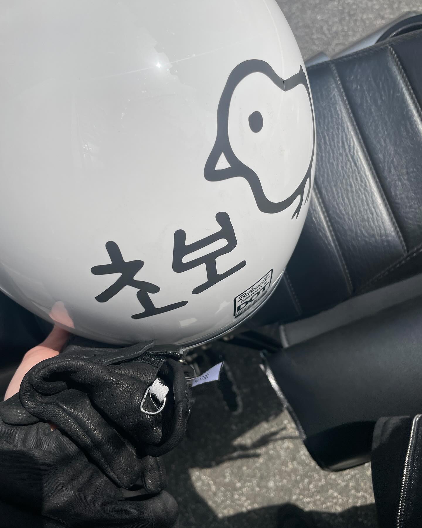 🏍️ 바이크 타고, 보고, 듣고 - 의 3월 🖤