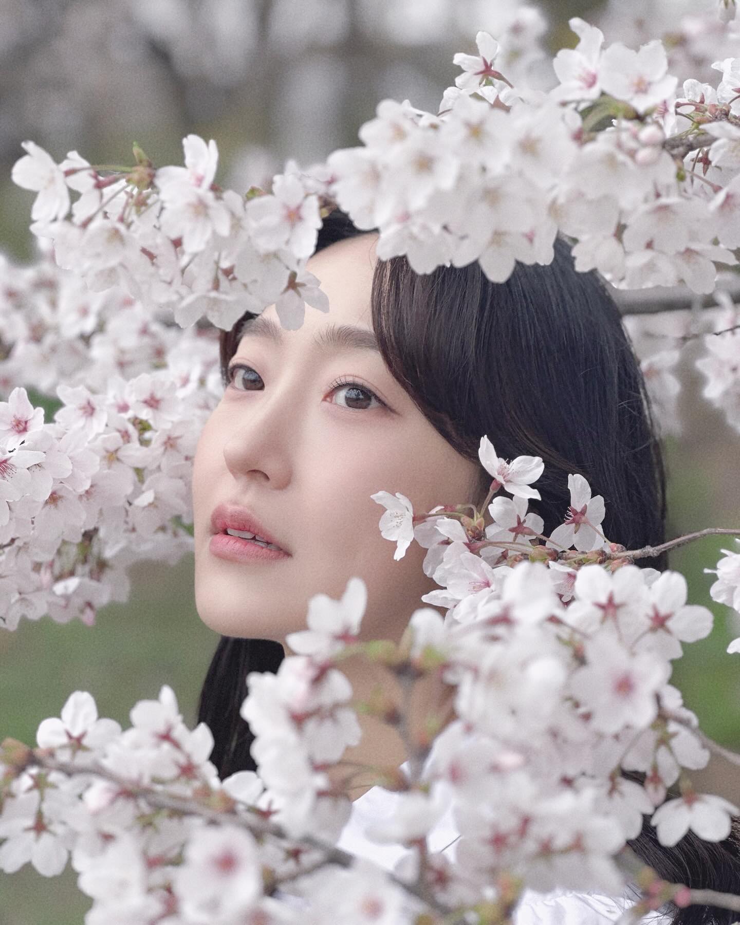 🌸 벚꽃 스냅 🌸

#photo the___pin leejeainn 
#shop wythedosan_official 
#hair parkjiparkji44 
#makeup yeowoolshin