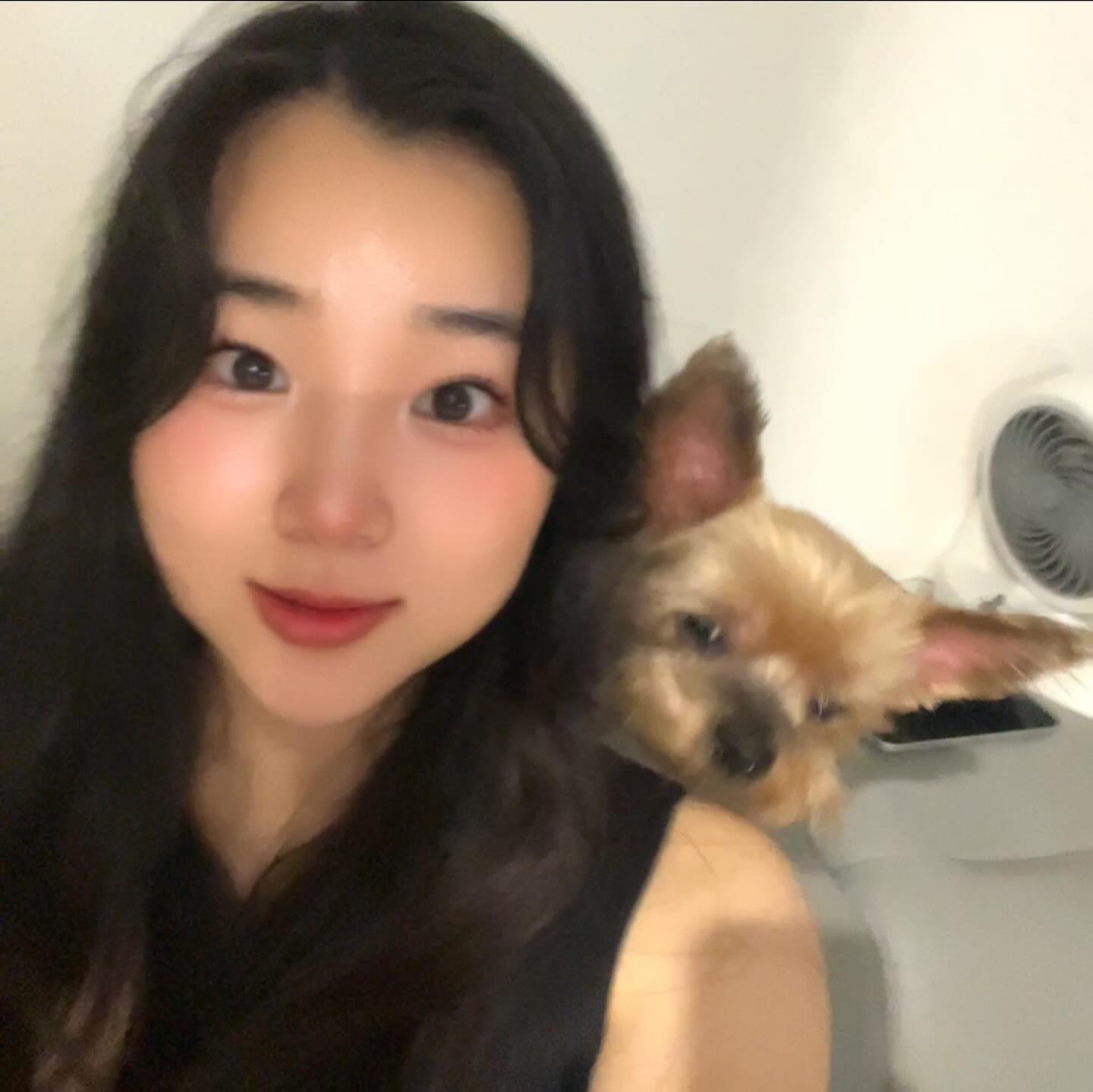 사랑하는 쵸파랑 🐾

.

.

.

#셀카스타그램 #좋반 #일상 #일상스타그램 #01 #24 #선팔 #맞팔 #먹스타그램 #좋아요 #좋아요반사 #좋반 #팔로우환영 #강아지 #강아지스타그램 #강아지그램 #요크셔테리어 #요크셔테리어그램