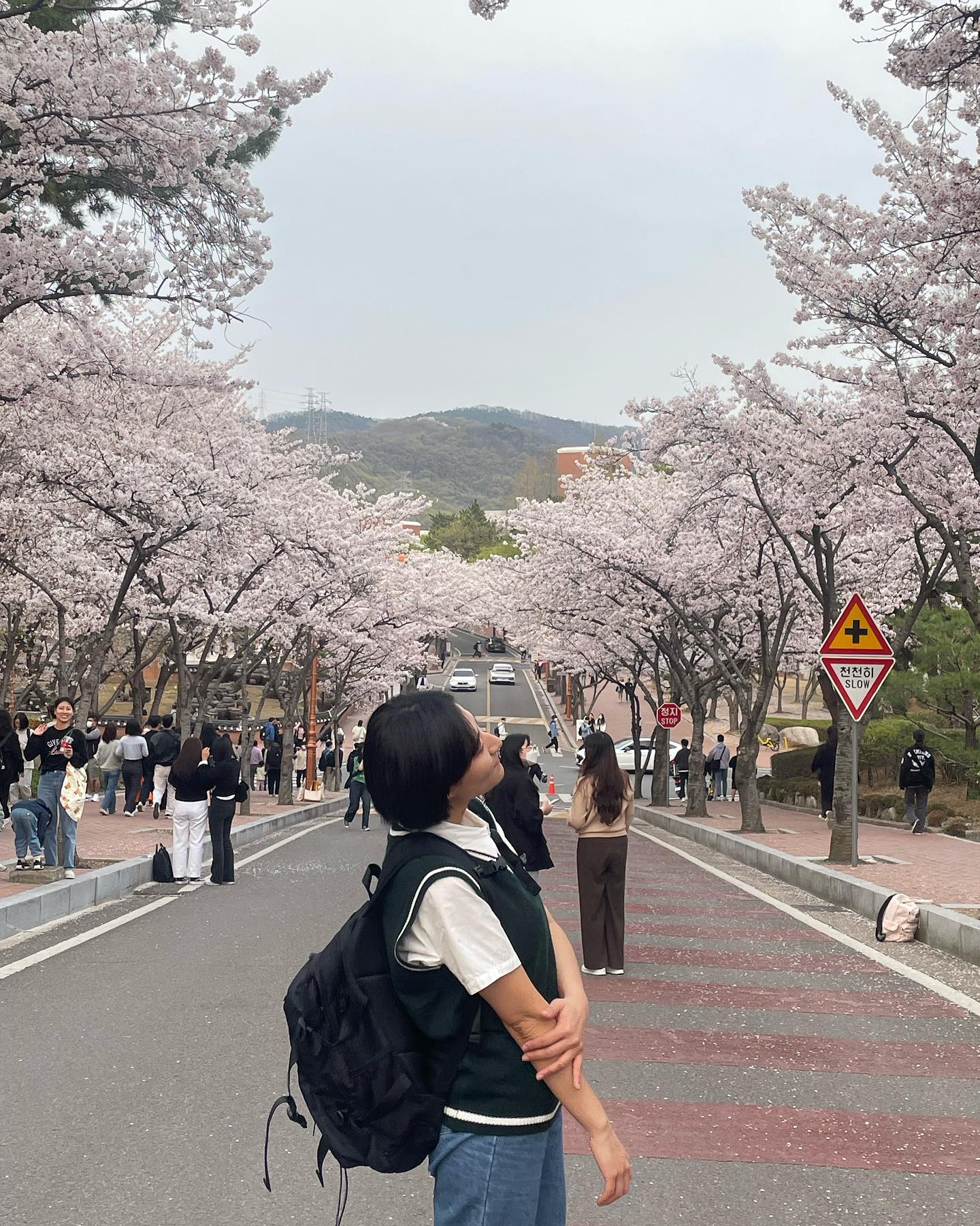 나도 꽃놀이