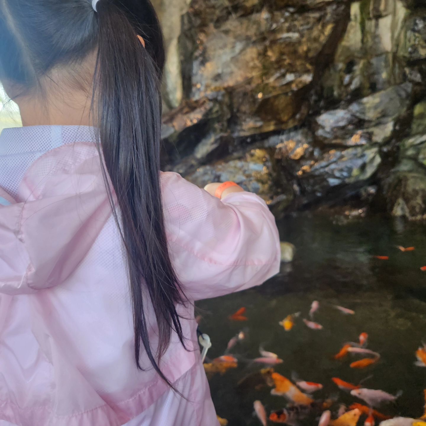 친구네와 함께온 리프 플레이스

#리프플레이스 #용인카페 #체험카페 #파충류카페 #원삼카페 #물고기카페