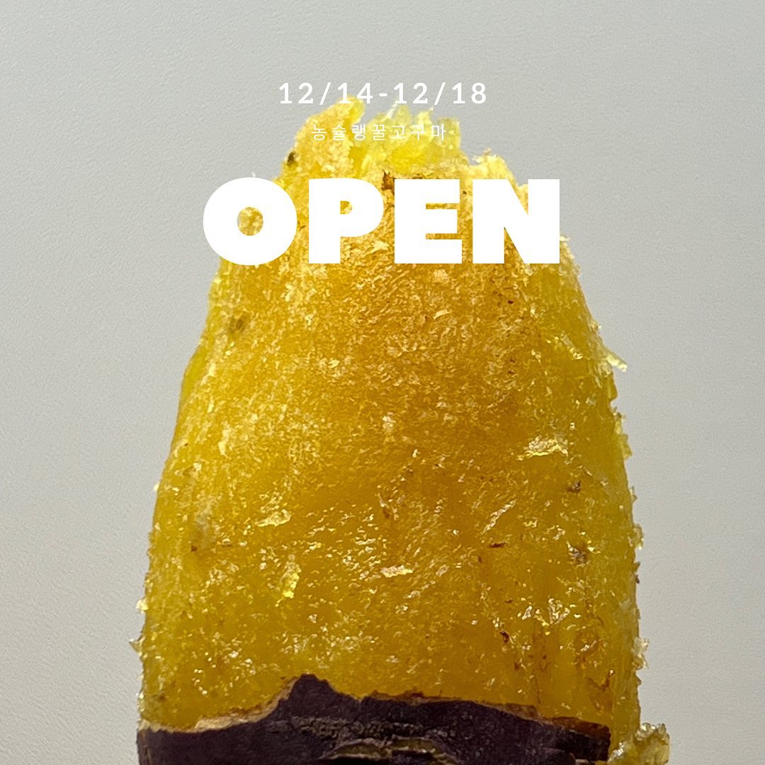 🍯🍠 꿀이 꽉 찬 꿀고구마 open!

완전 단 고구마 드시고 싶으신분은 
요 농슐랭 꿀고구마 드세요 👍😋
nongchelin__official 🧑‍🌾

🍯당구마 3차까지 하고 이제 고구마는 
올해 없구나 했는데 
이 꿀고구마 에프에 돌려먹고 
바로 일정 잡았네요 😅

🍯전라남도 영암 황토밭에서 자란 꿀고구마
🍯큐어링과 100일 이상 숙성되어진 상태로 배송됩니다
🍯후숙없이 바로 먹어도 단맛 최고에요 ! 

➖뛰어난 효력의 농슐랭 꿀고구마 
▫️피로회복 면역력 강화
▫️눈건강
▫️장건강
▫️다이어트효과 및 항암효과

맛 영양 모두 갖춘 농꿀고구마
18일까지 프로필 상단 링크에서
구매 가능합니다 🧑‍🌾