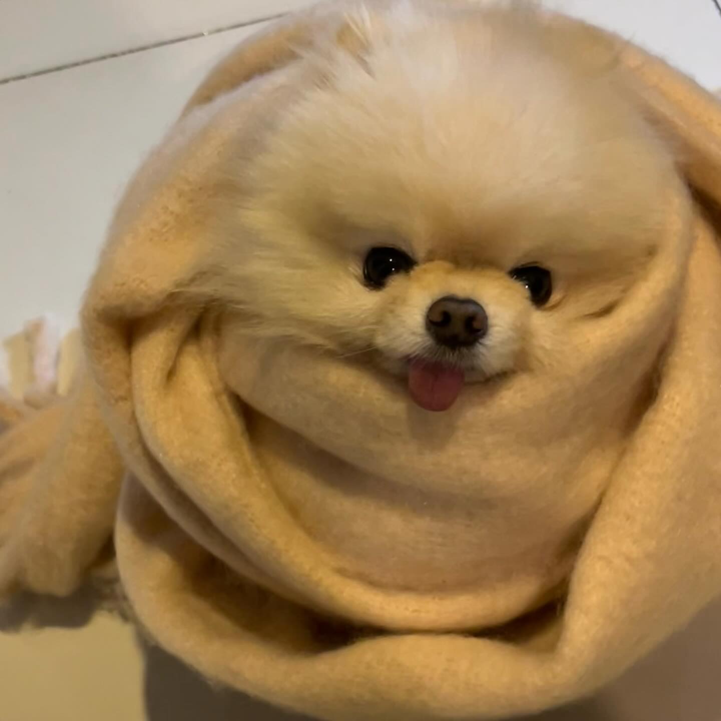 겨울 남자 이구름 🐶