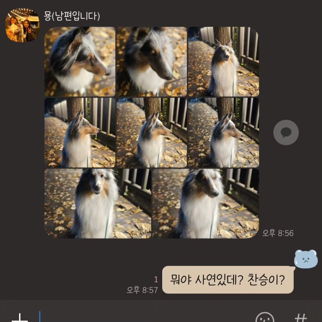 베이비..? 친구한테 화내서 혼난 사연을 가졌군아🙄😂