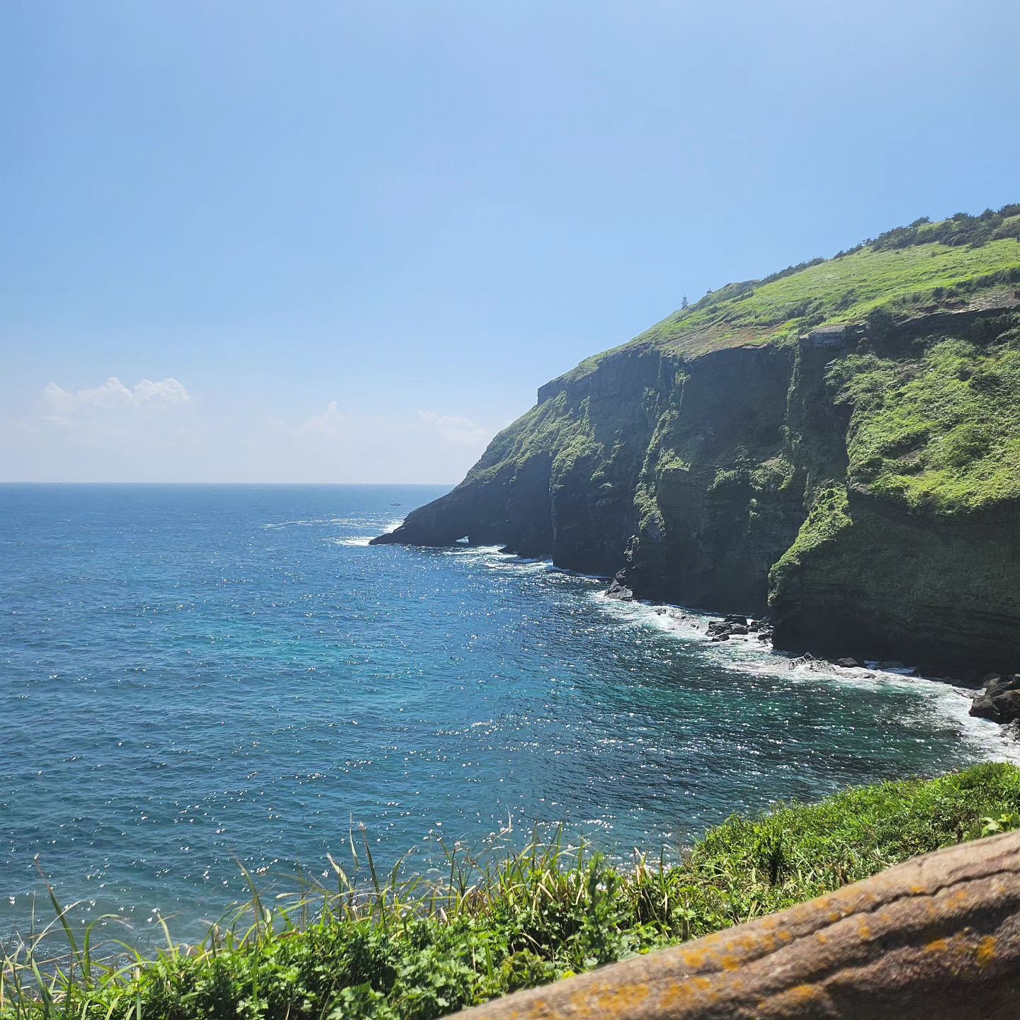 JEJU
.
제주도에서 만난 당나귀들🥕🥕
넘 착하고 순해 당근 주고 올걸😥
.
제가 탔던 당나귀가 엄마당나귀고 옆에 있는 애가 아들 이래요🫏🫏
.
그리고 절벽에 누워있는 아기 당나귀 넘 귀여워🫏❣️
#우도 #당나귀체험 🐴#날씨최고