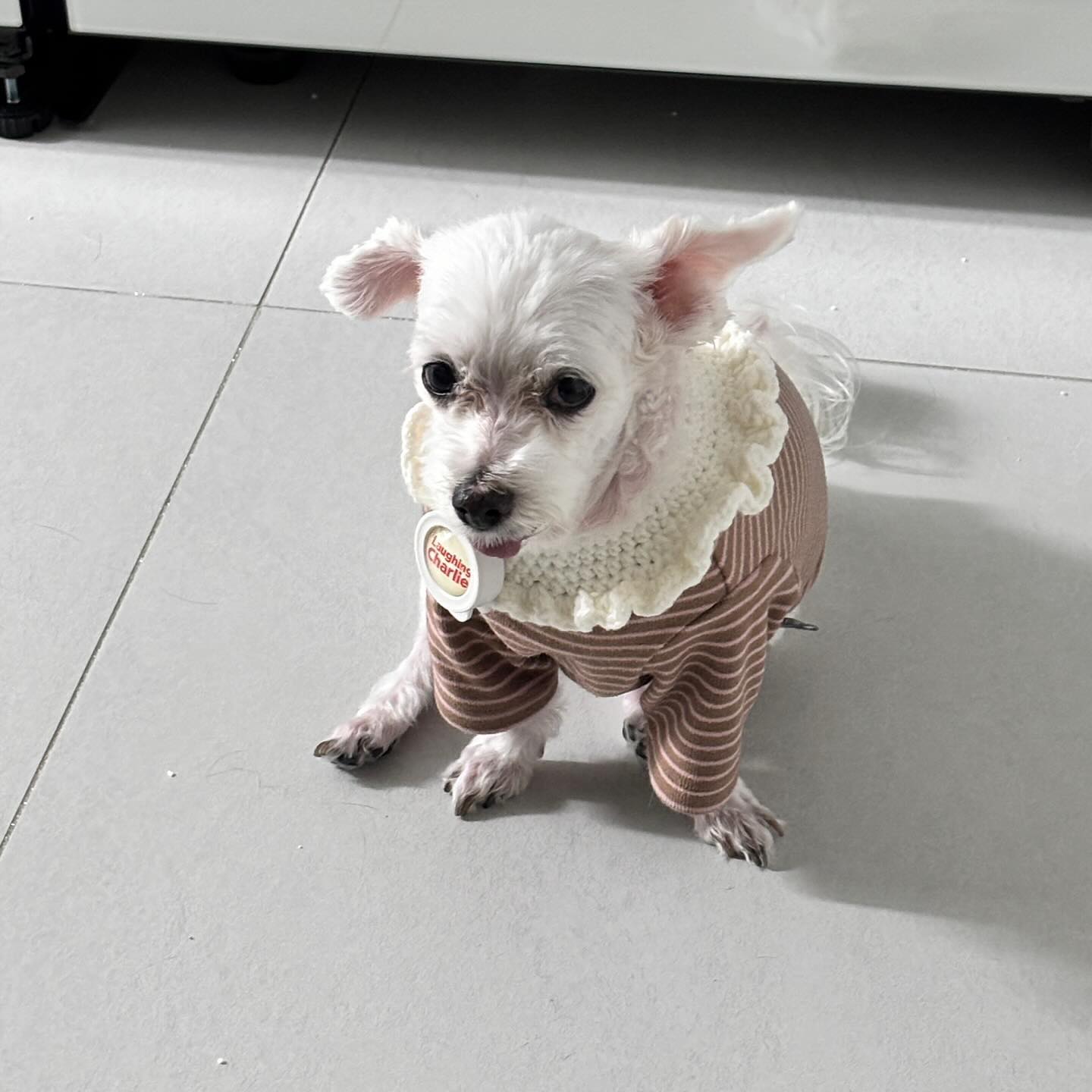누가봐도 불만에 가득찬 표정인데..
이유를 모름 🙄