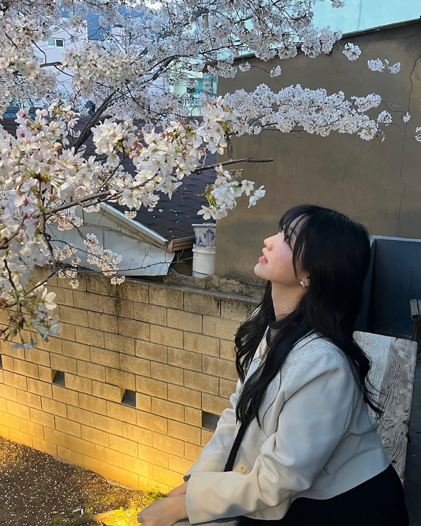 낮에도 밤에도 예쁘던 아킨니 🌸