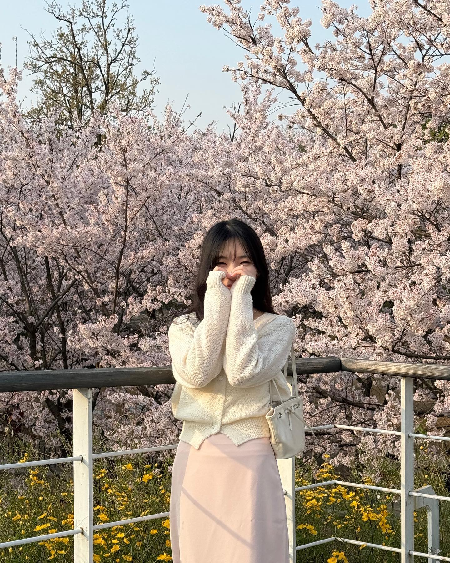 끝나지 않은 나의 벚꽃 사진들 ’◡‘✿ 💗💗🤍