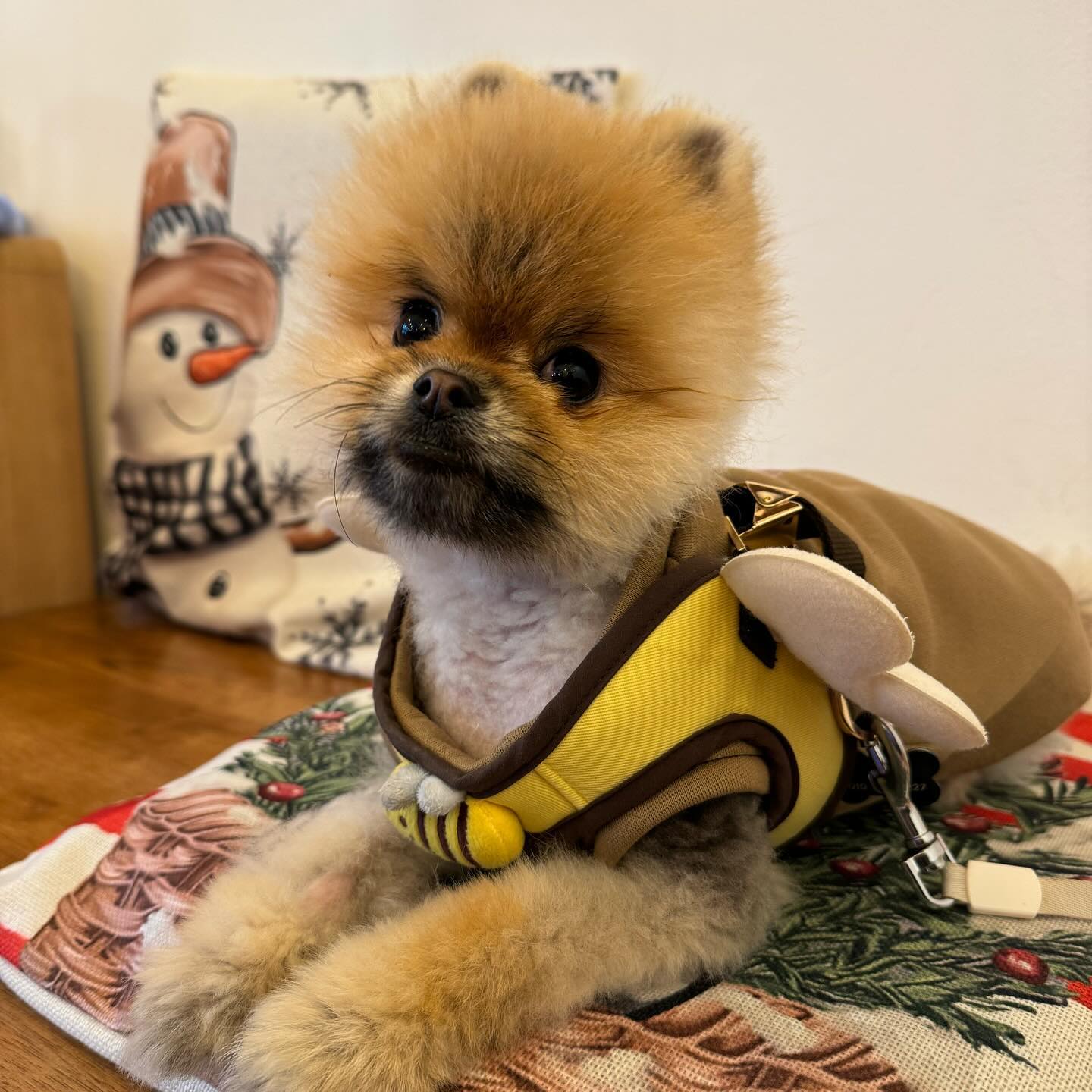 목이 늘어난게 아니라 옷이 큰건데..🐻
항상 가면 사장님이 젤루 좋아해주신당><
붕어빵주면 가야되니까 안주고싶다는 사장님ㅋㅋ❤️
#아뜨레 #인기스타 #붕어빵맛집 #카페추천 #붕세권 #룽지의하루