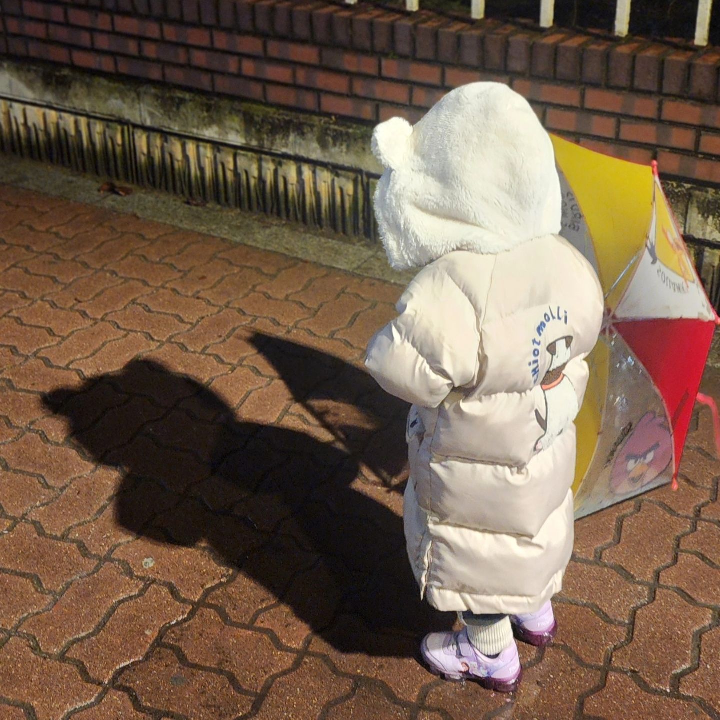비내리는 밤, 곰돌이 출몰
#40개월 #곰 #bear #🐻 #cutebaby