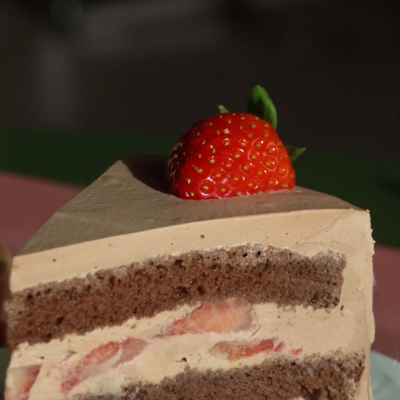 #피오니연남
딸기생크림 케이크는 봤어도
딸기 초코크림 케이크는 여기가 처음🍓
맛있었다

그리고 빙수 포장이 어마무시해
.
.
.
#연남동카페 #연남카페 #피오니연남점 #카페사진 #사진맛집 #디저트맛집 #감성카페 #디저트카페 #감성사진 #일상사진 #음식사진
