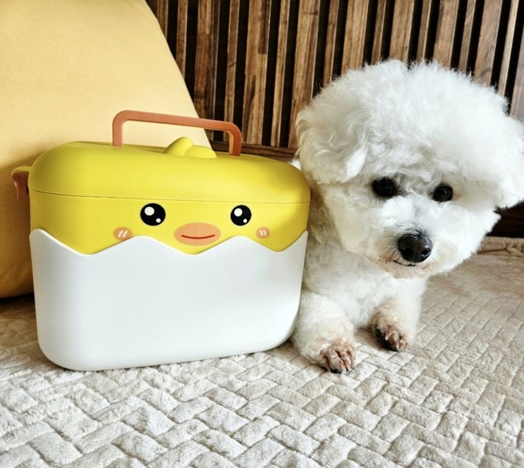 병아리 약상자 / 귀여운 반려동물 약보관함
